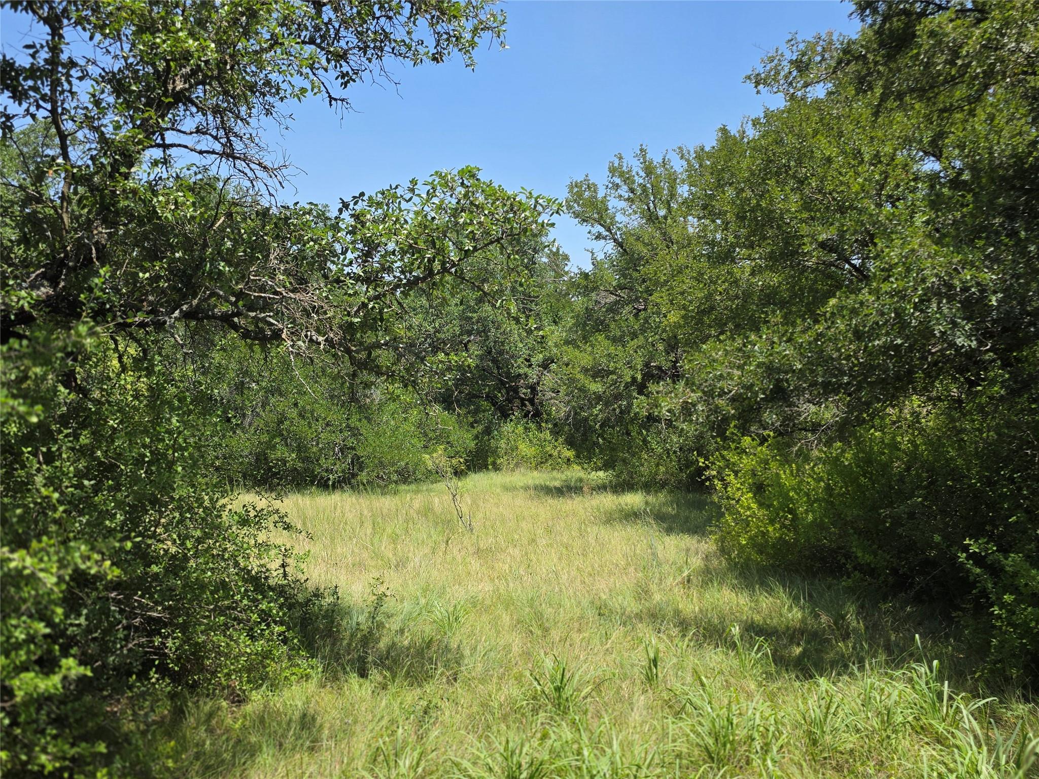 main property photo 20