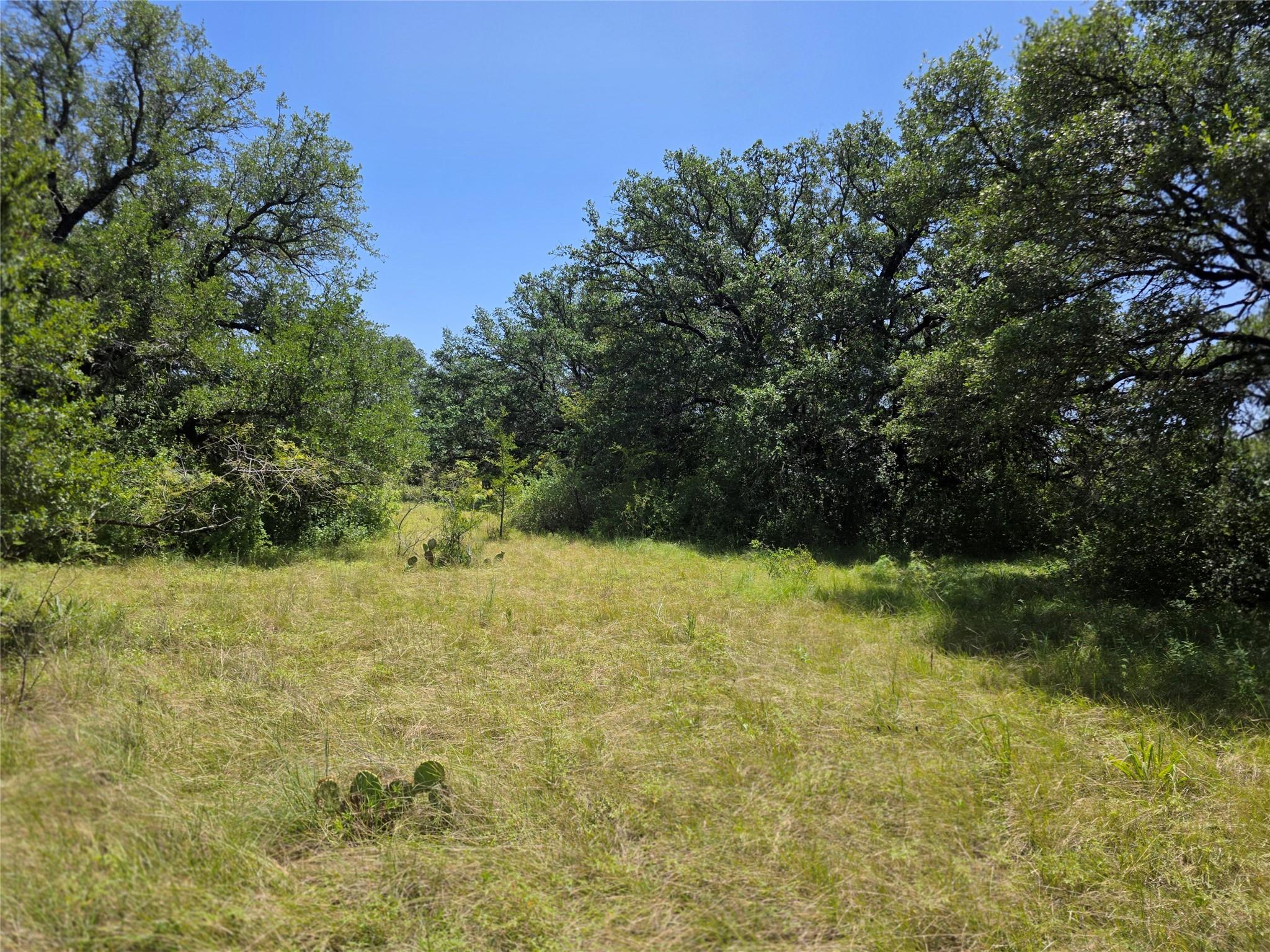 main property photo 22