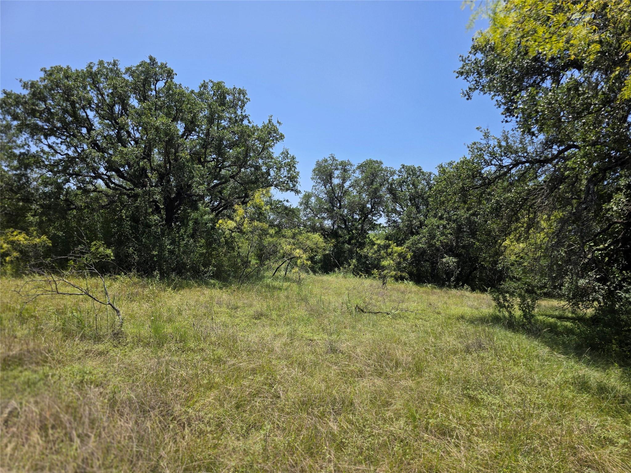 main property photo 23