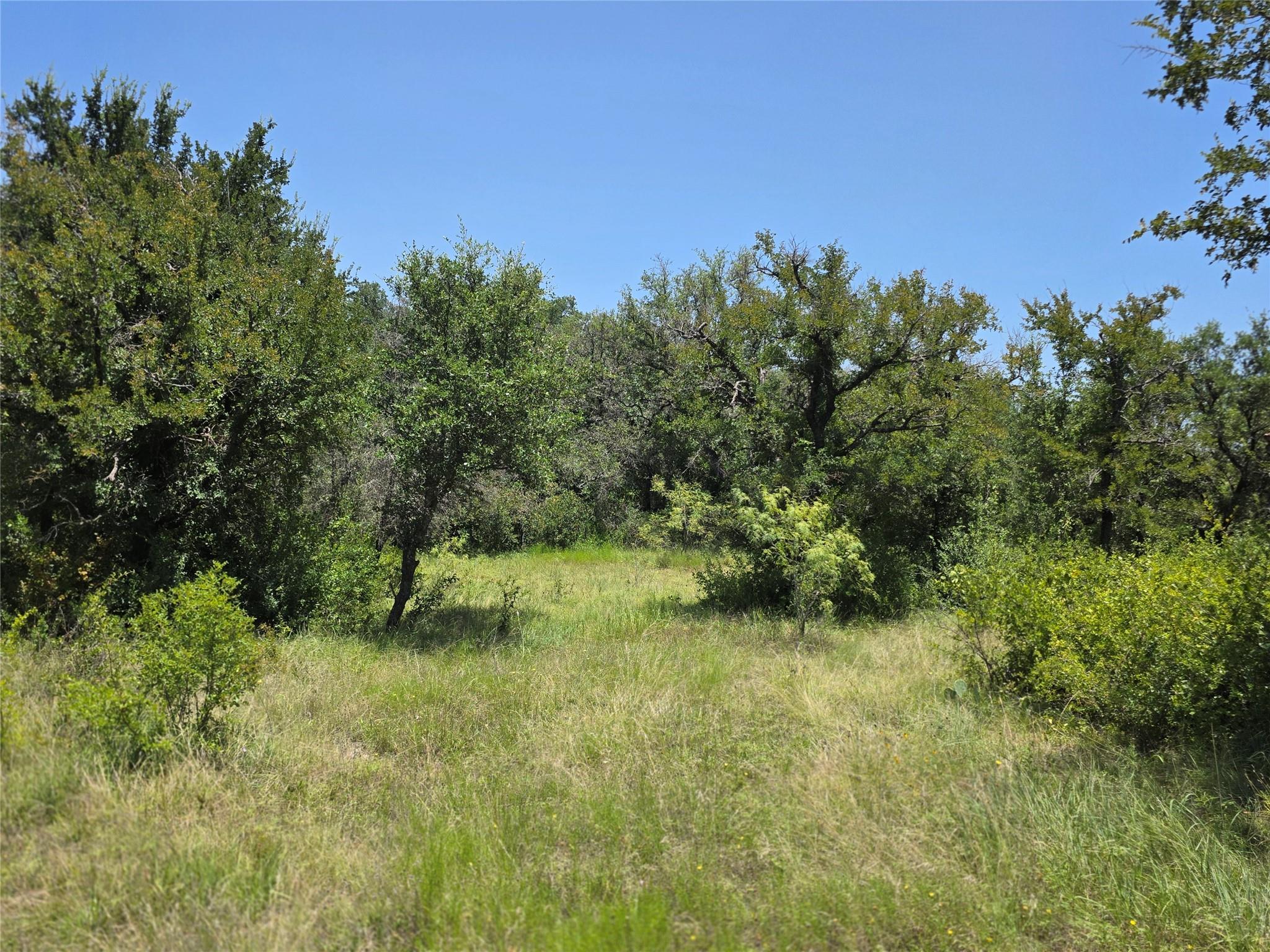 main property photo 34