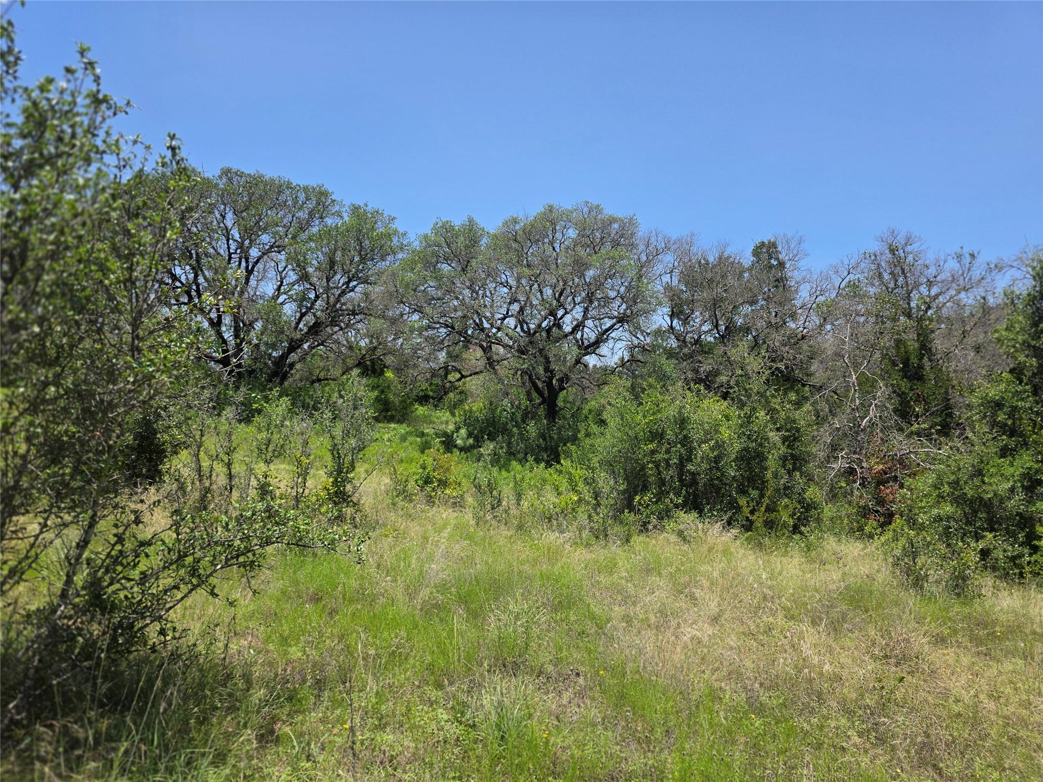 main property photo 35