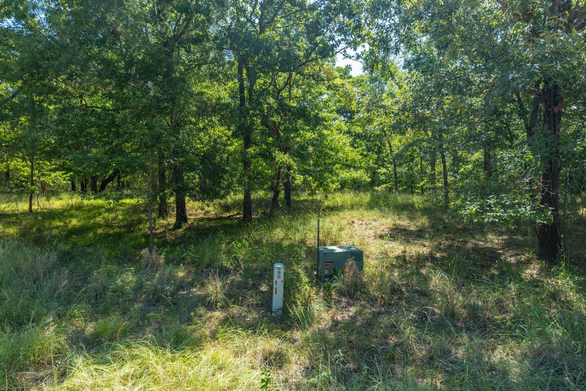 main property photo 10
