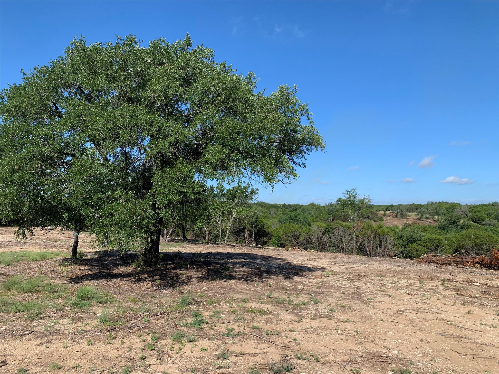 main property photo 9