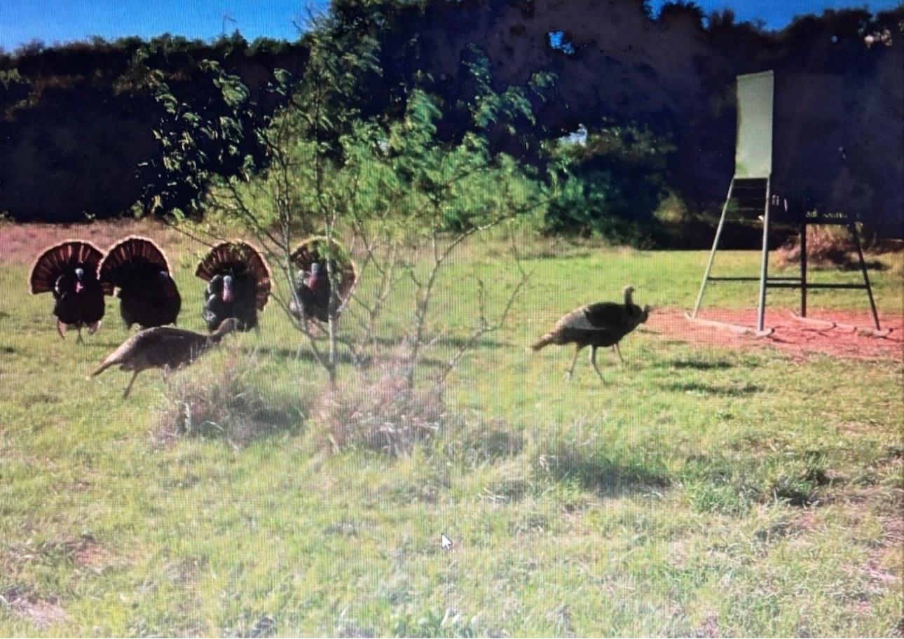 main property photo 37