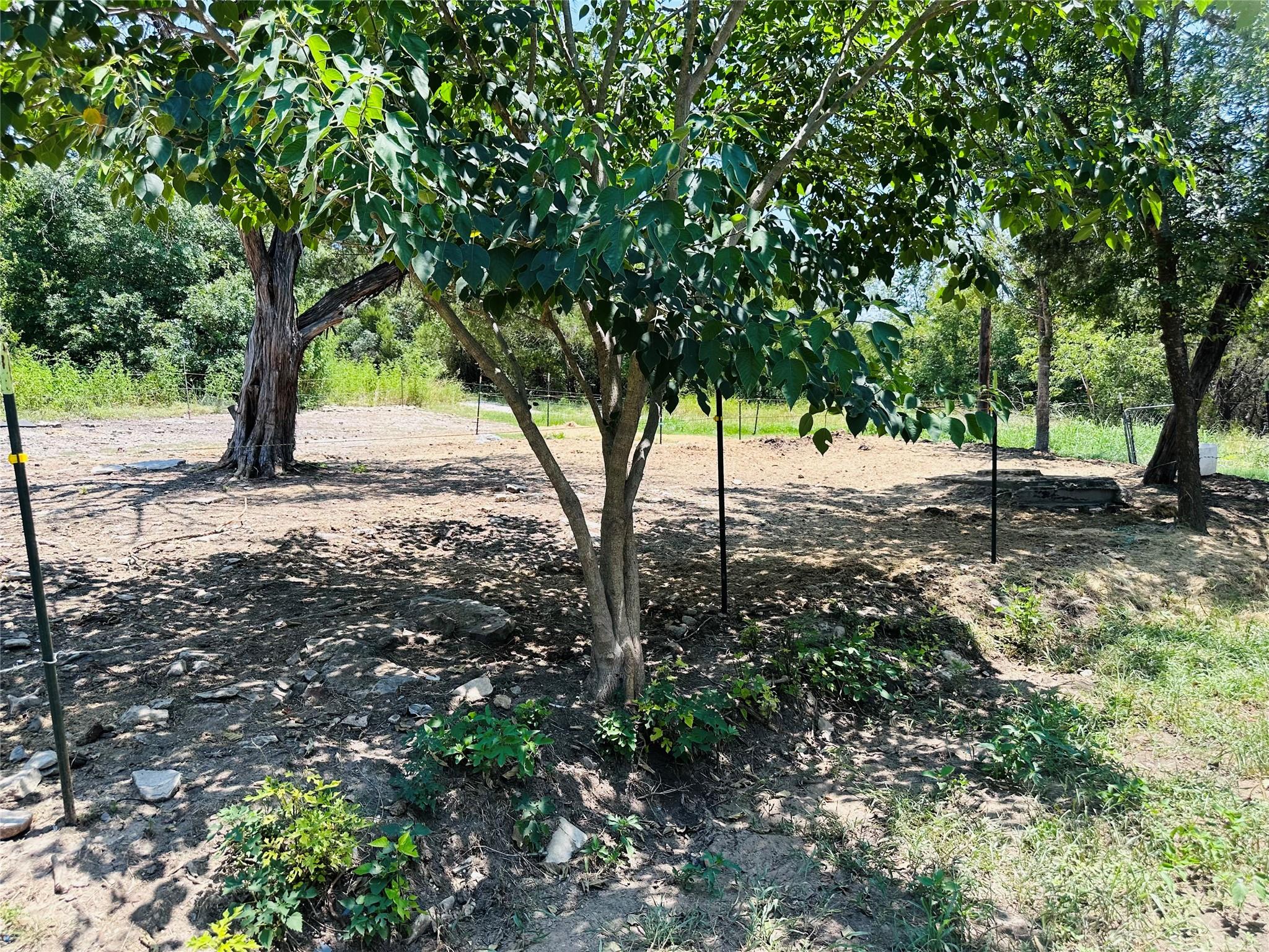 main property photo 17