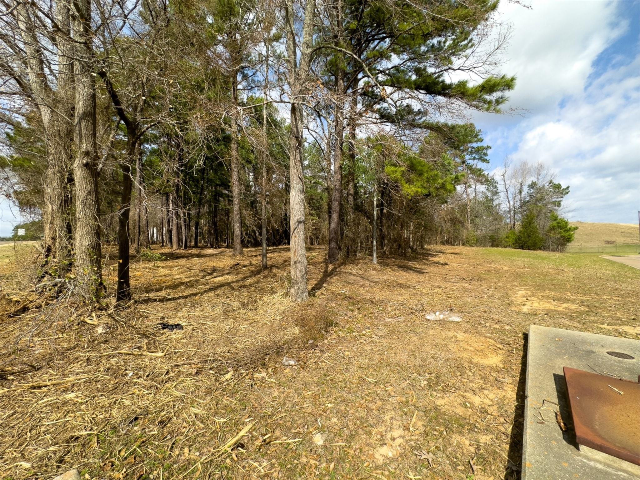 main property photo 14