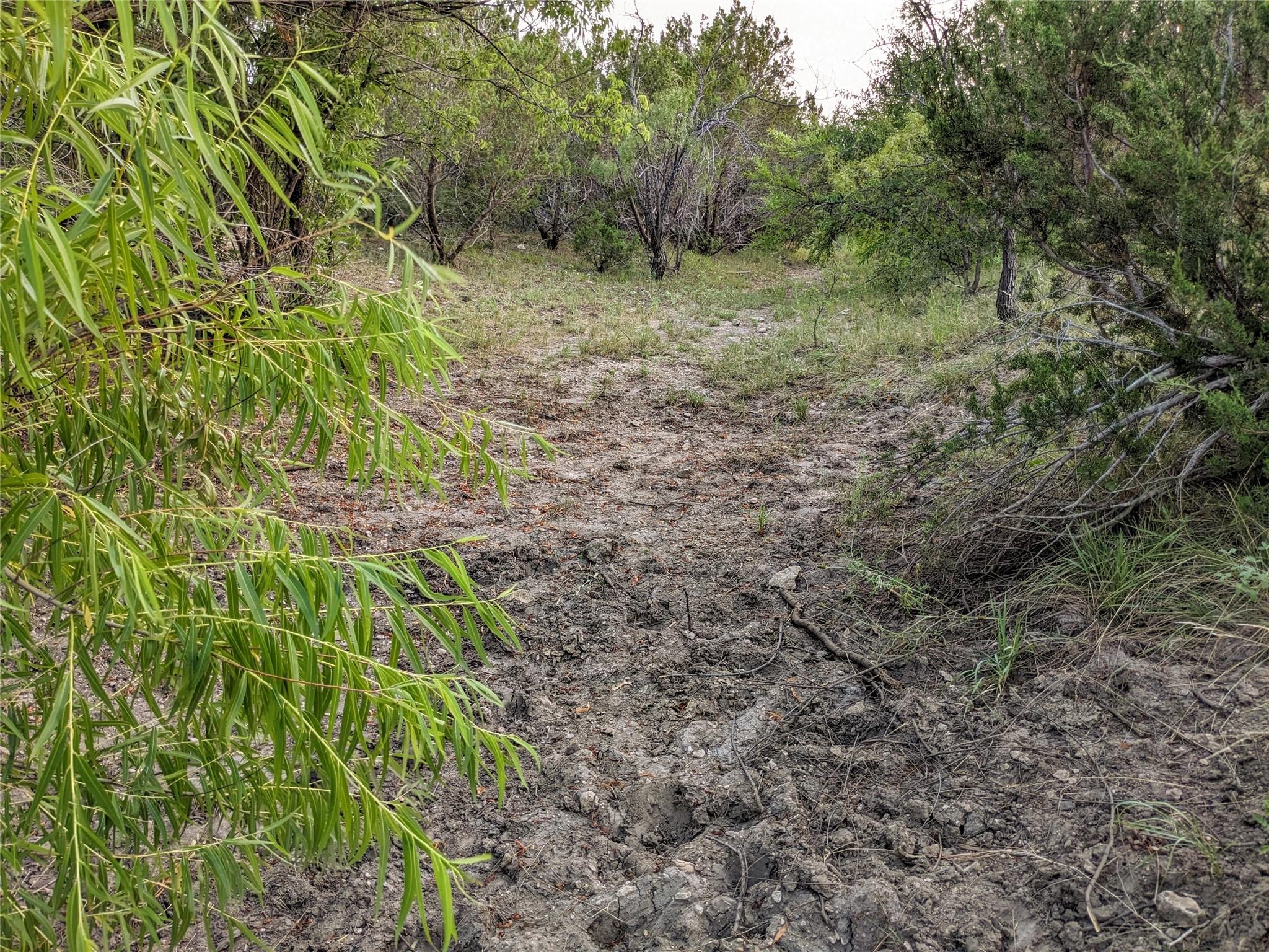 main property photo 19