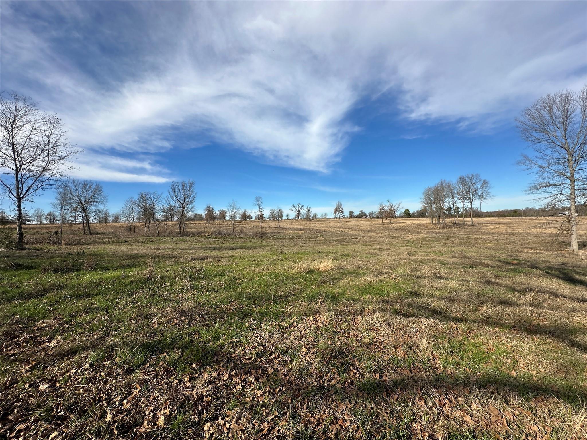 main property photo 10