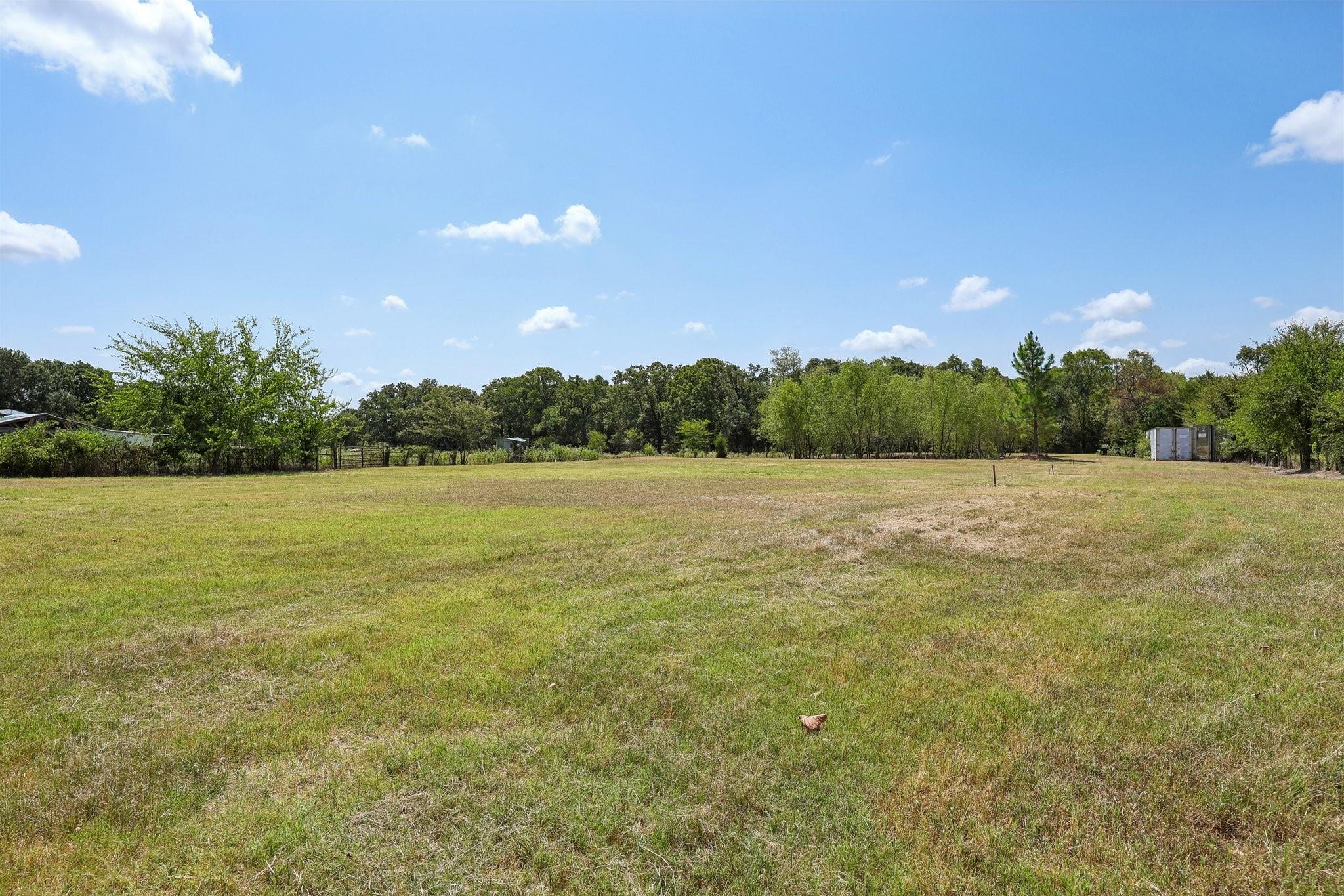 main property photo 32