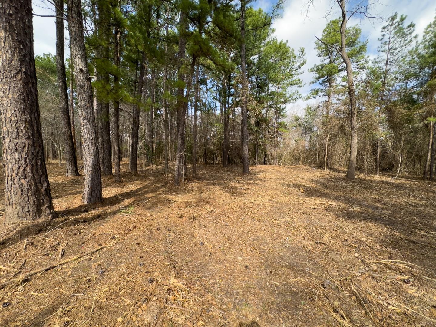 main property photo 14