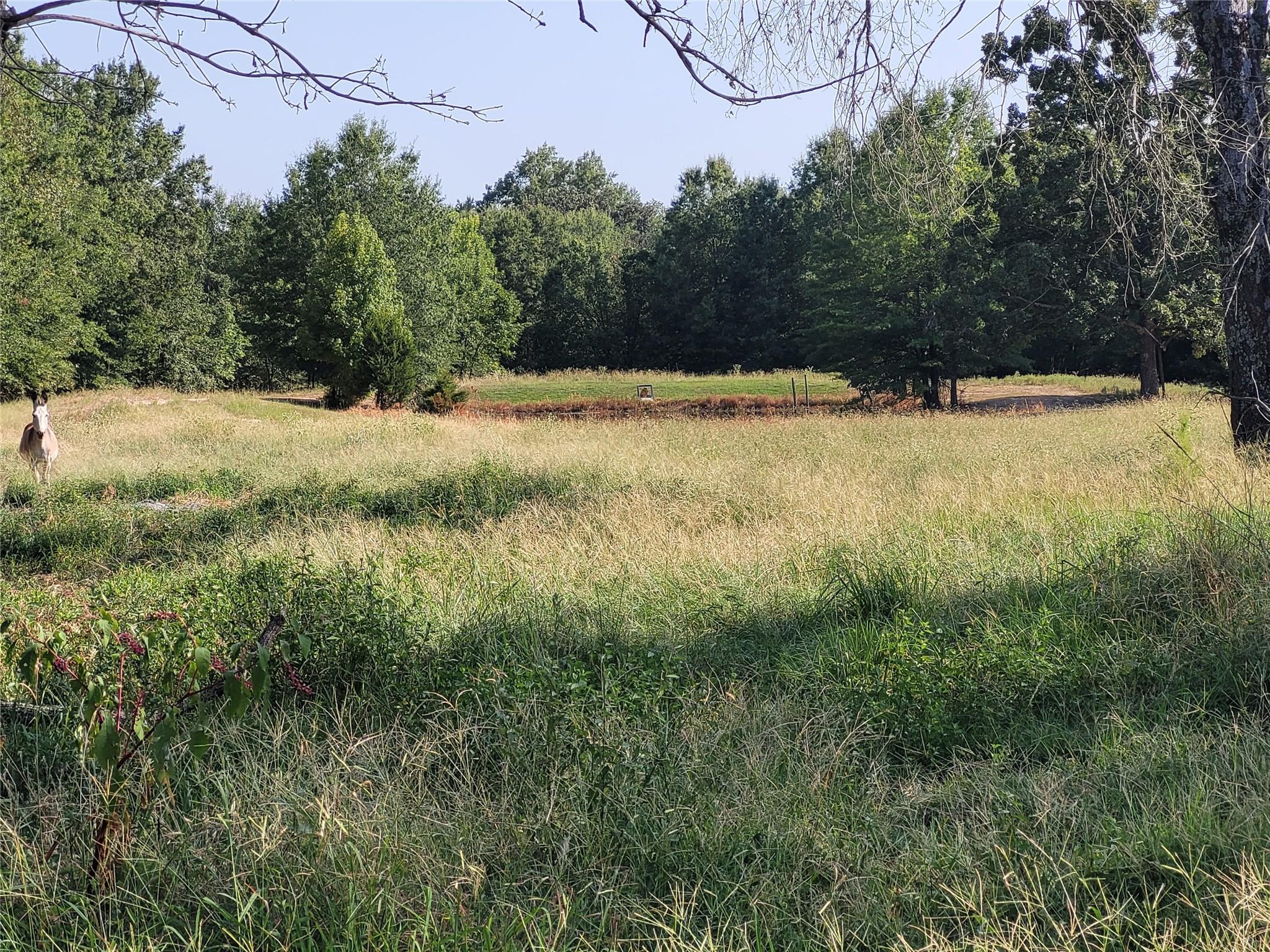main property photo 24