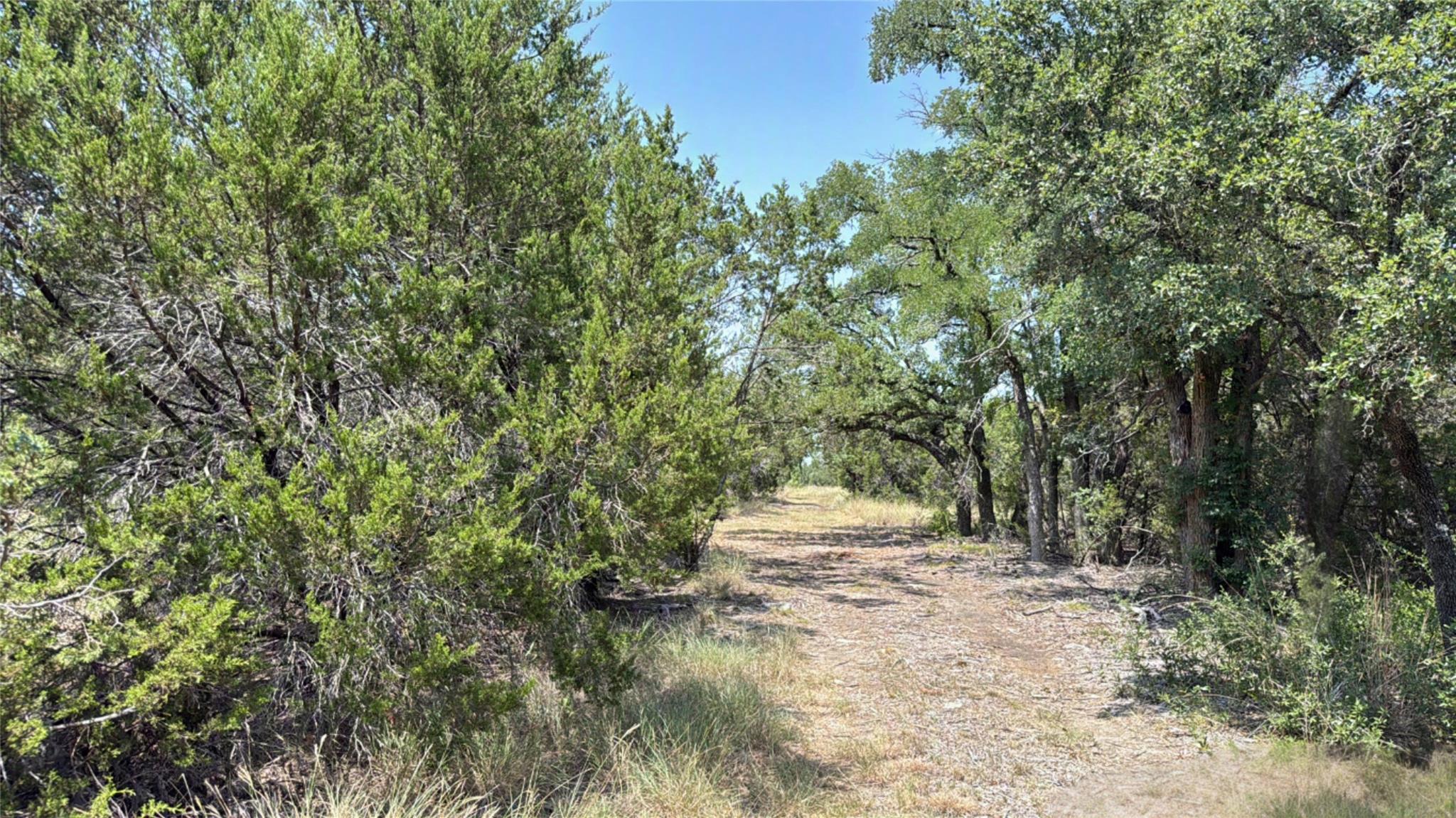main property photo 11