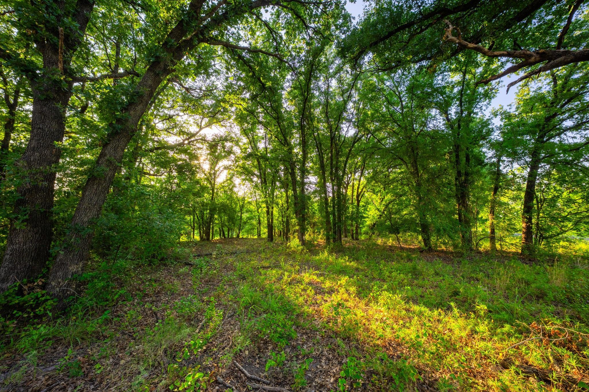 main property photo 28