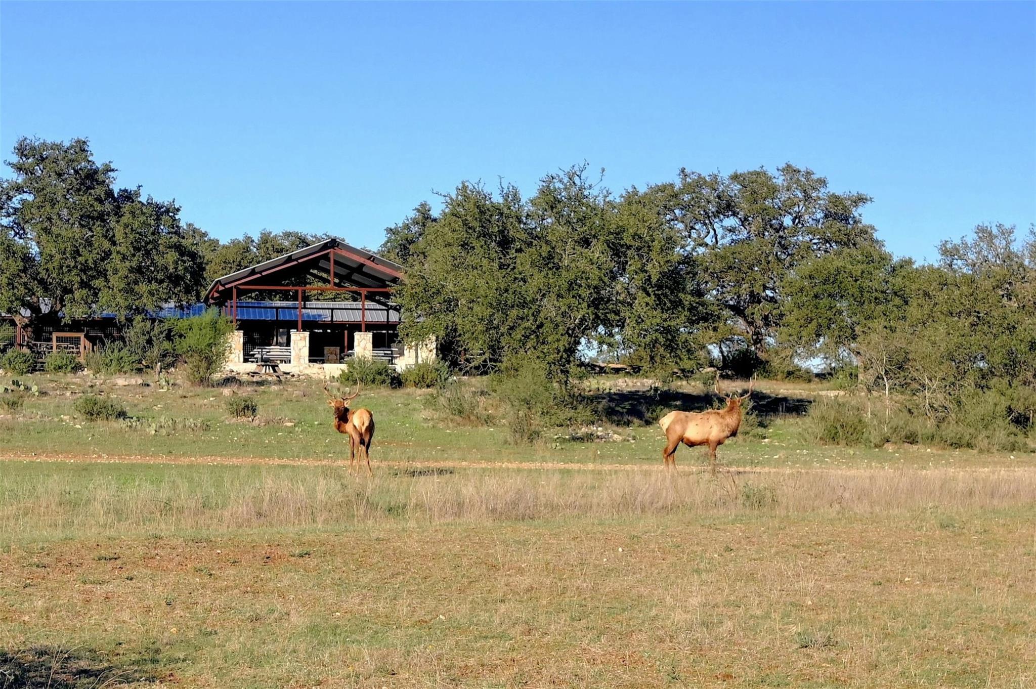 main property photo 20