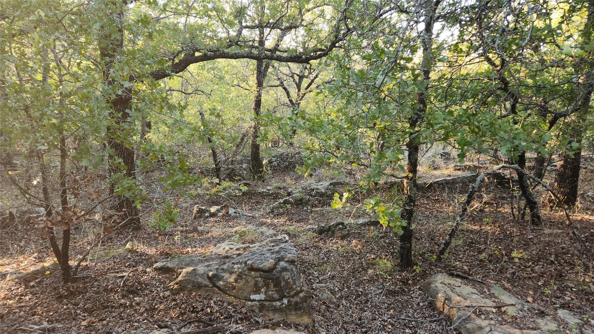 main property photo 8