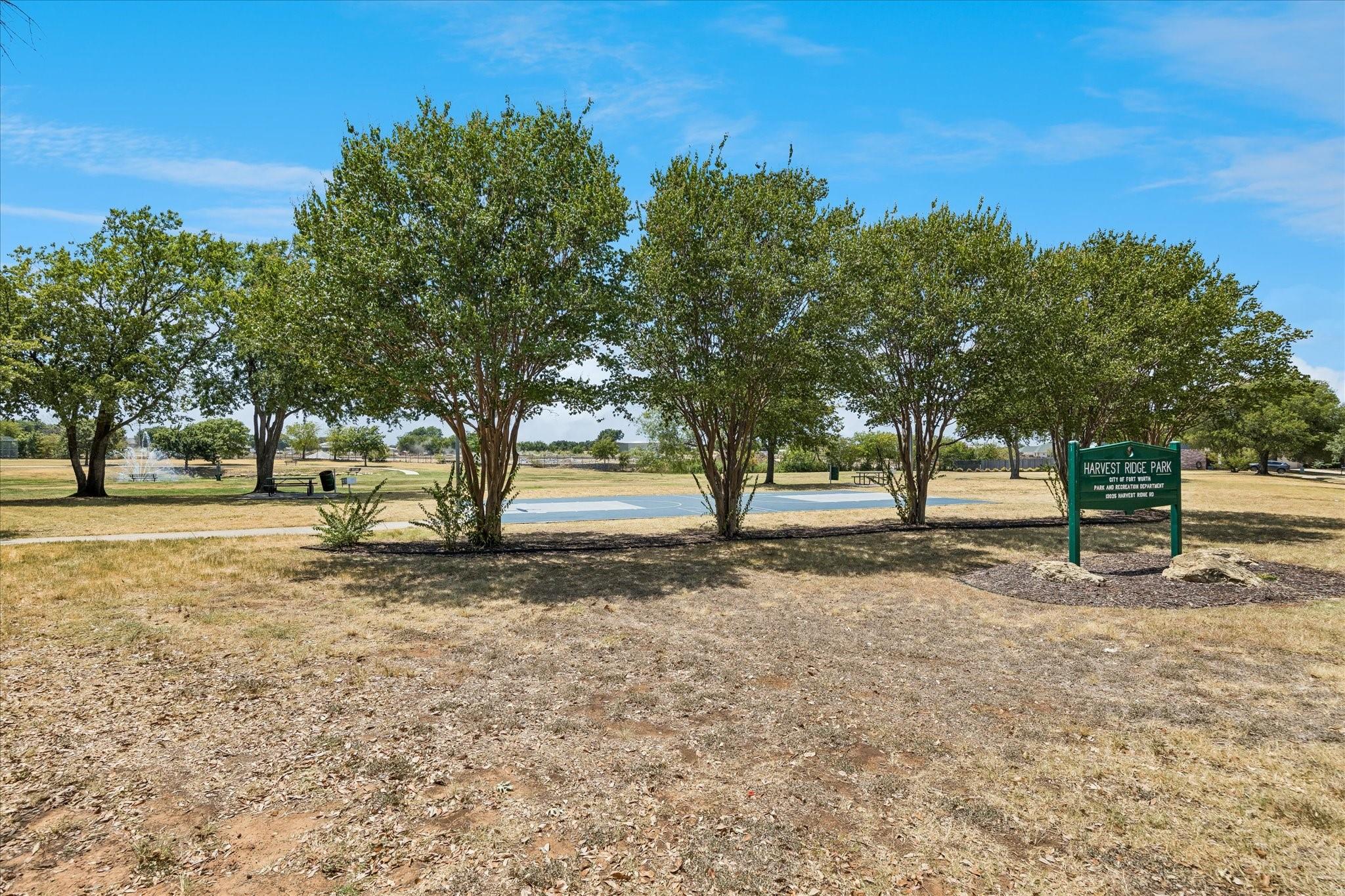 main property photo 26