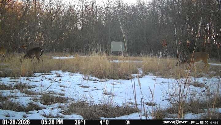 main property photo 39
