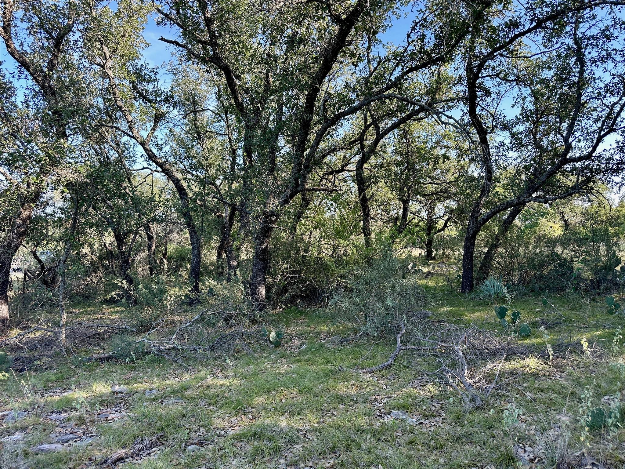 main property photo 14