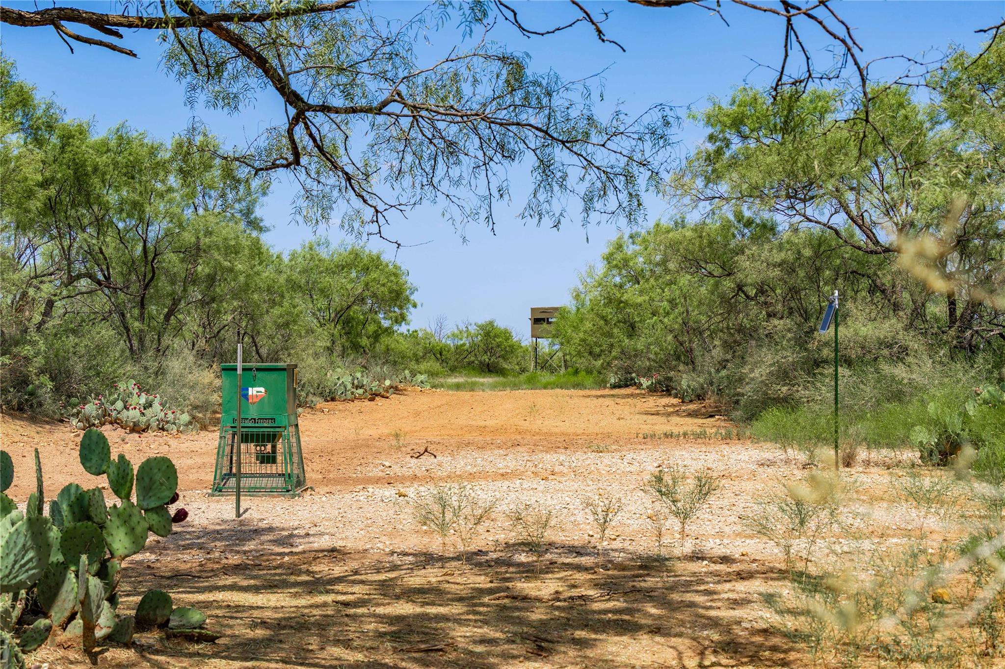main property photo 38