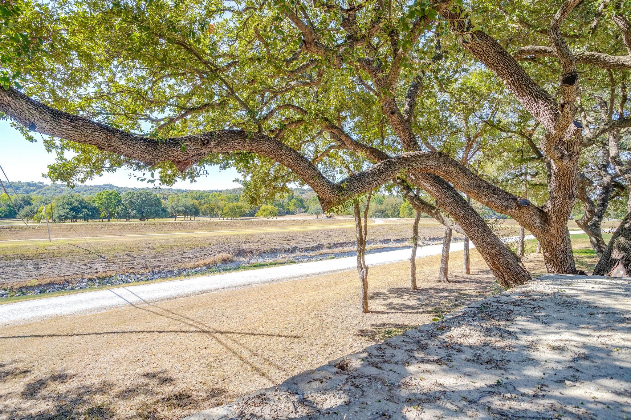 main property photo 18