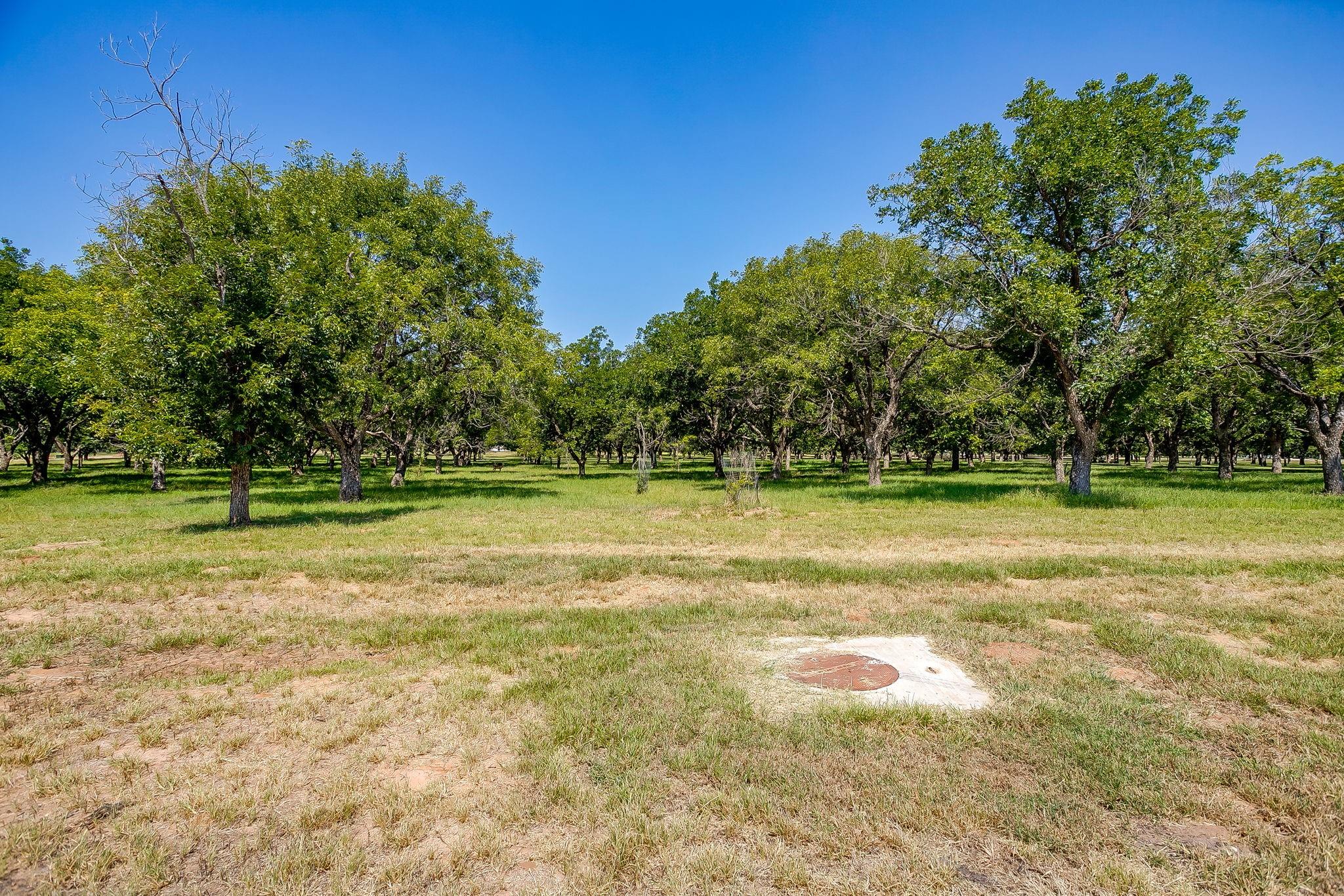 main property photo 12