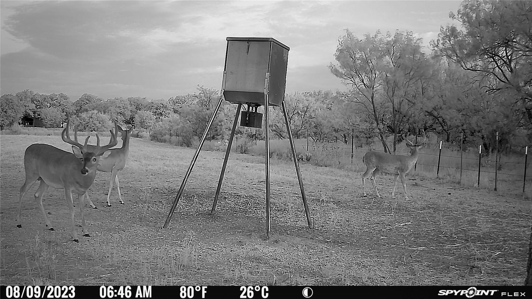 main property photo 17