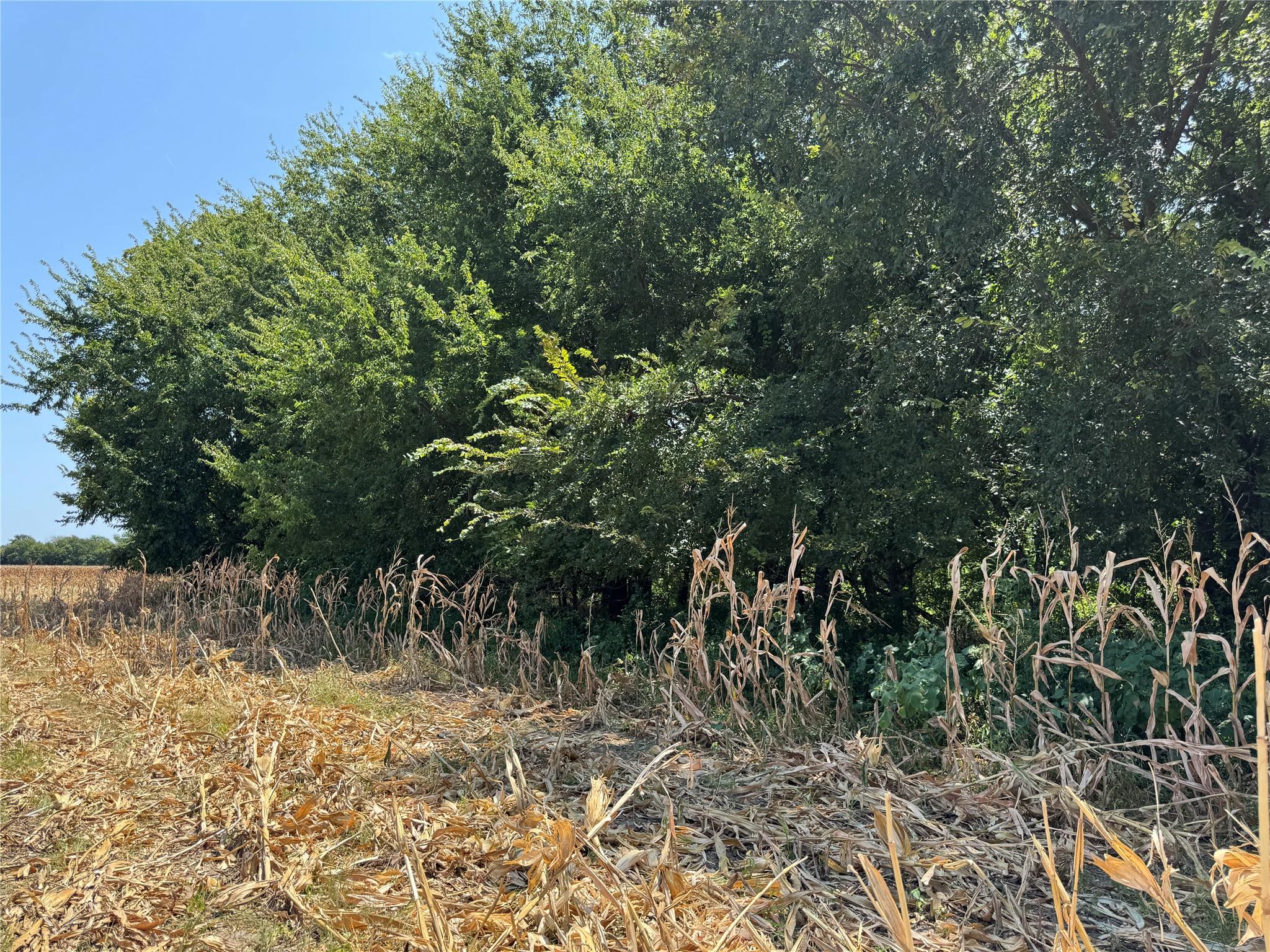 main property photo 11