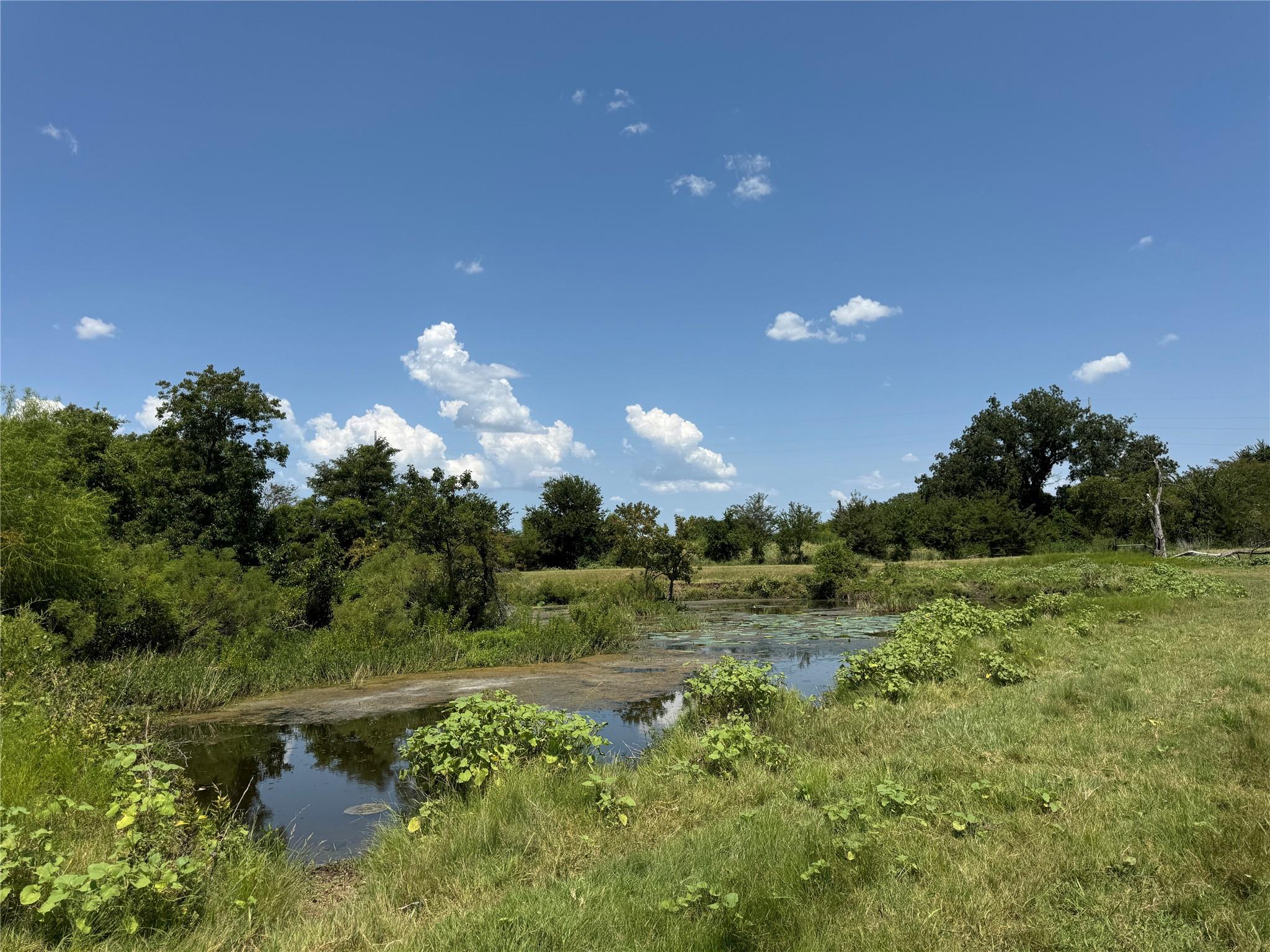 main property photo 13