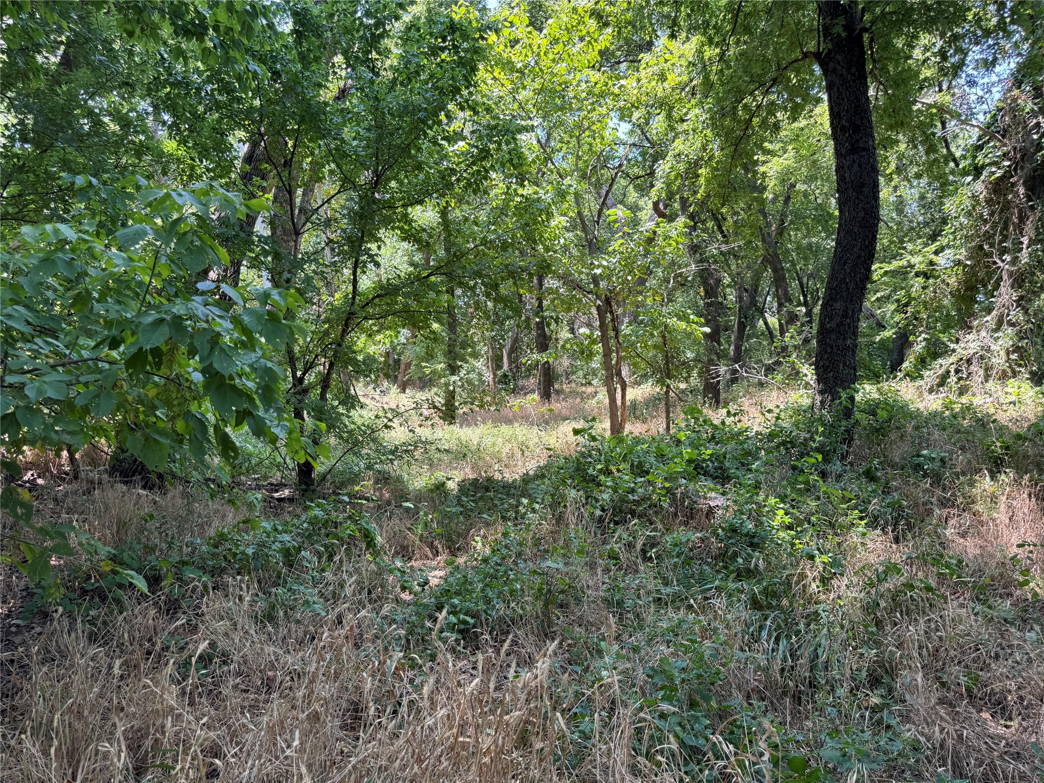 main property photo 6