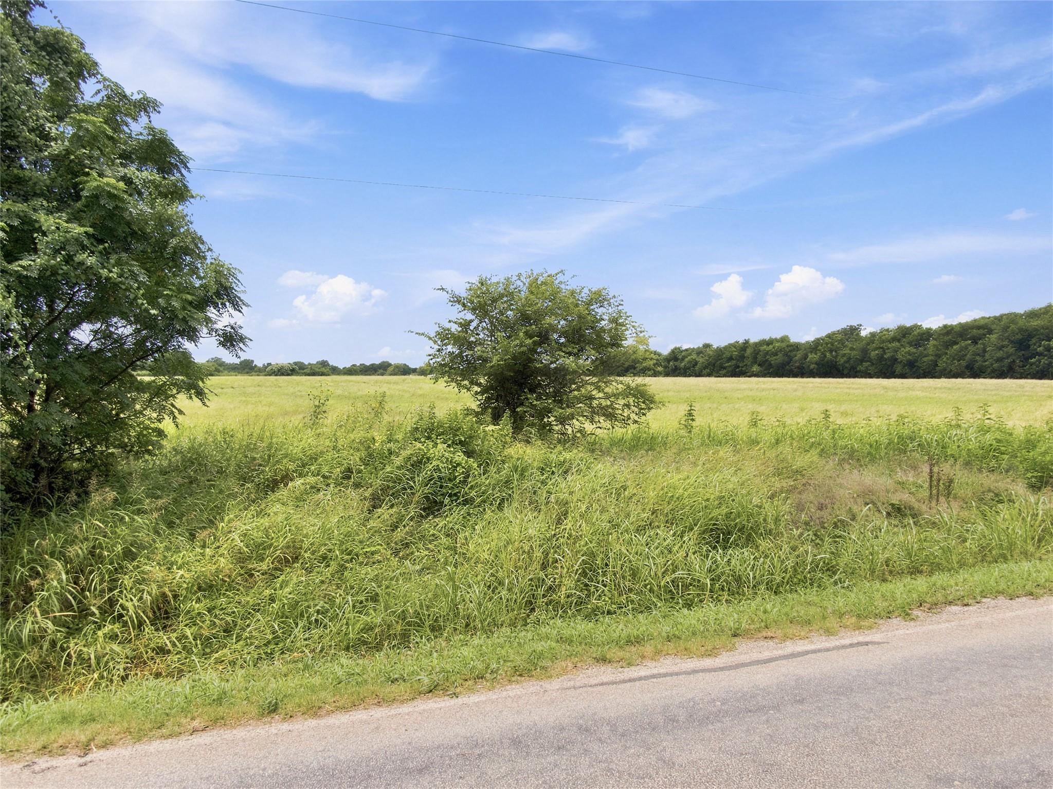 main property photo 4