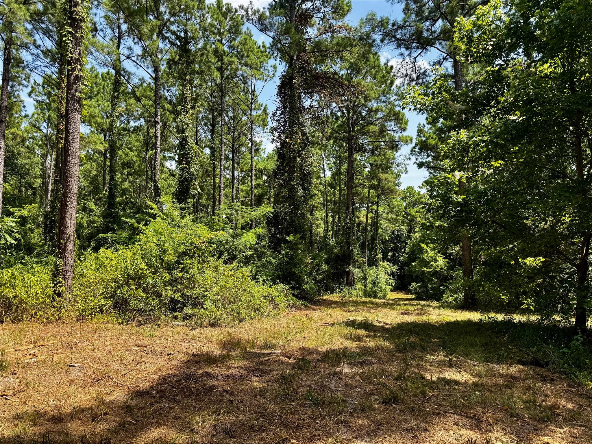 main property photo 10