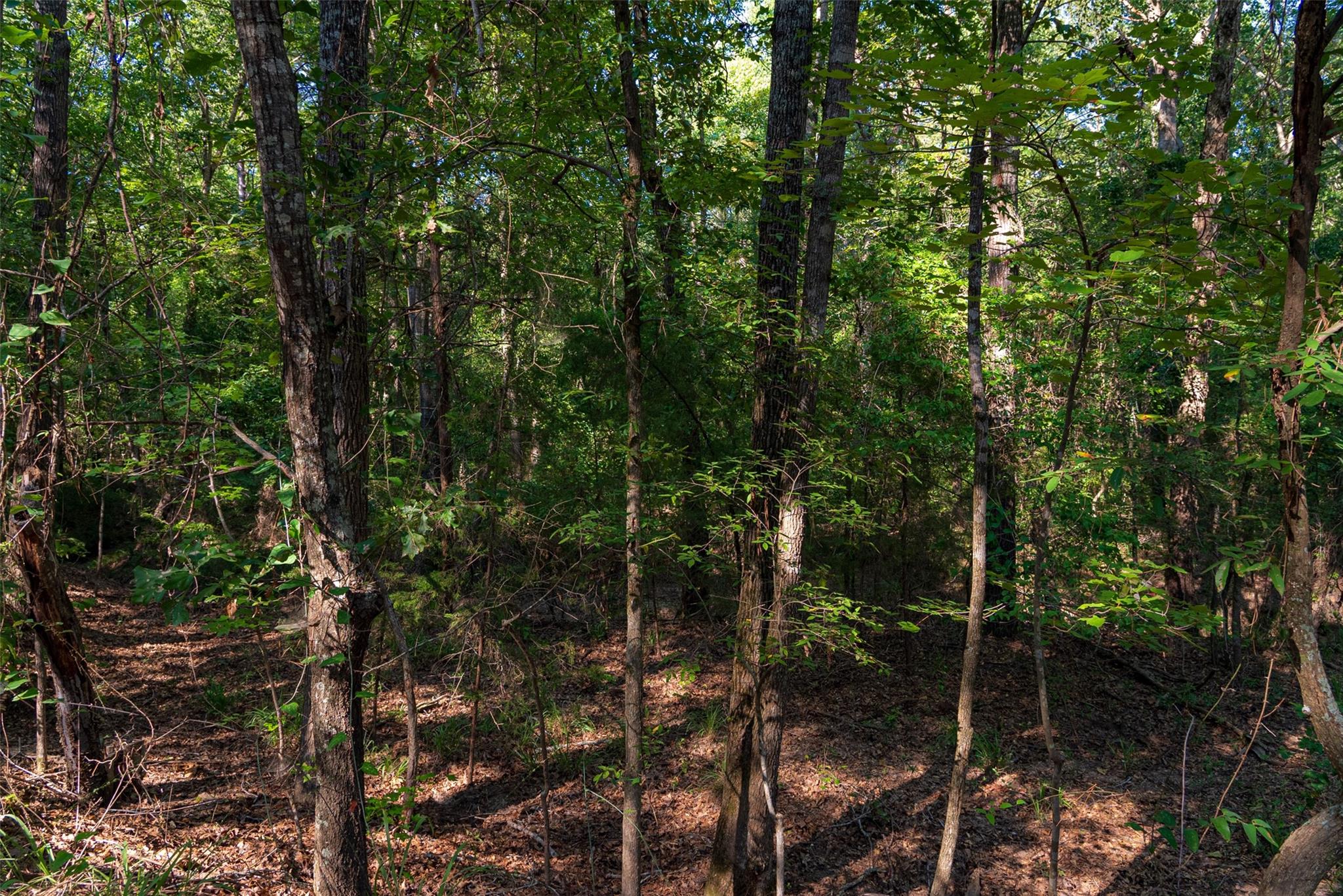 main property photo 11
