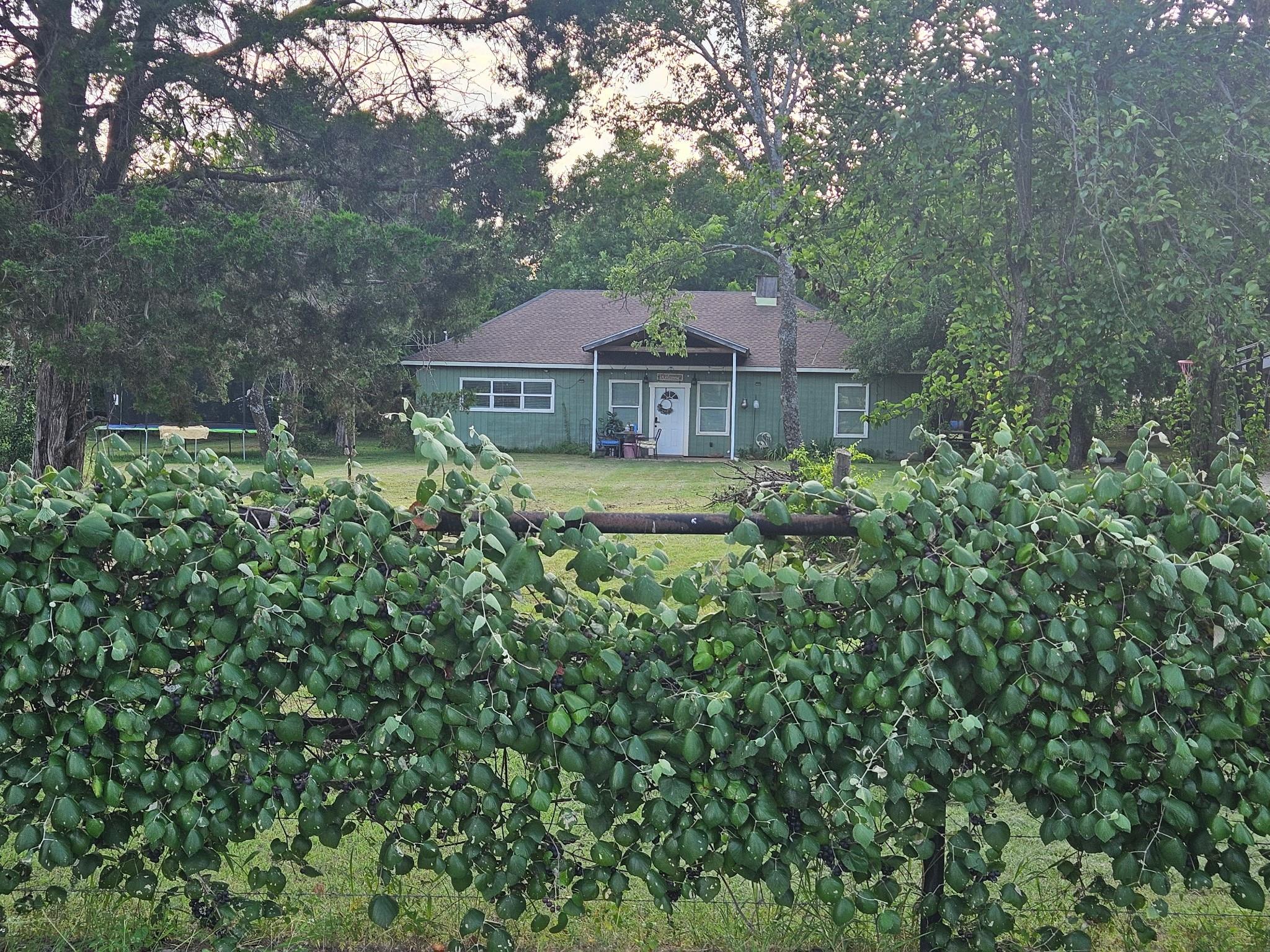 main property photo 4