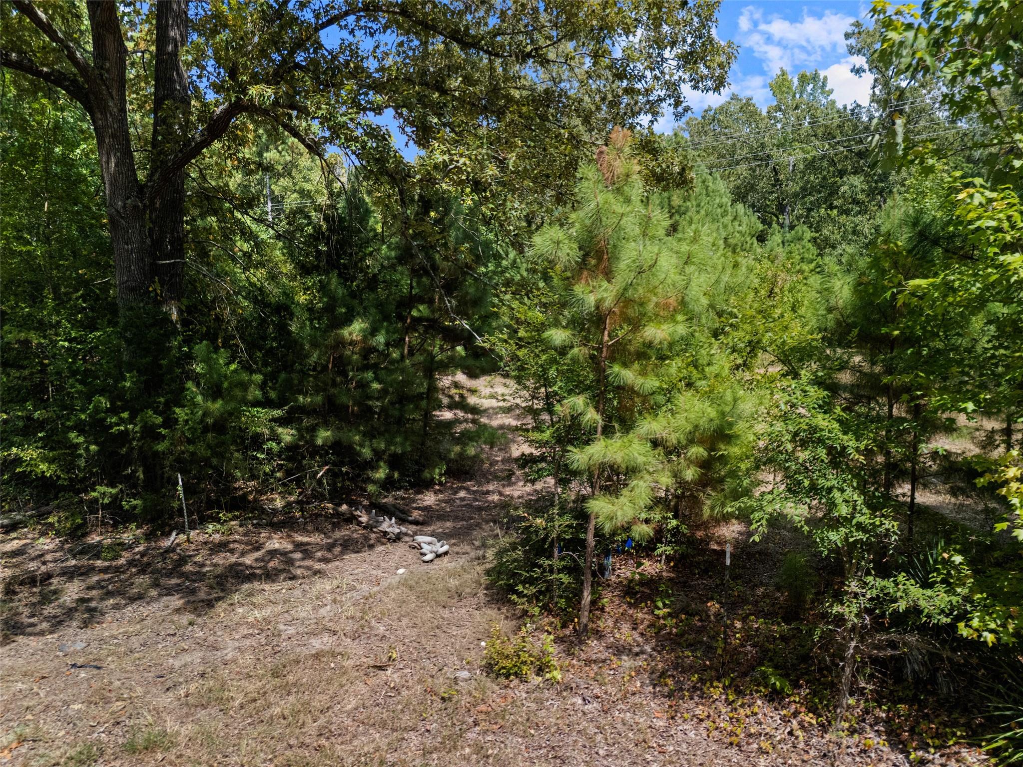 main property photo 10