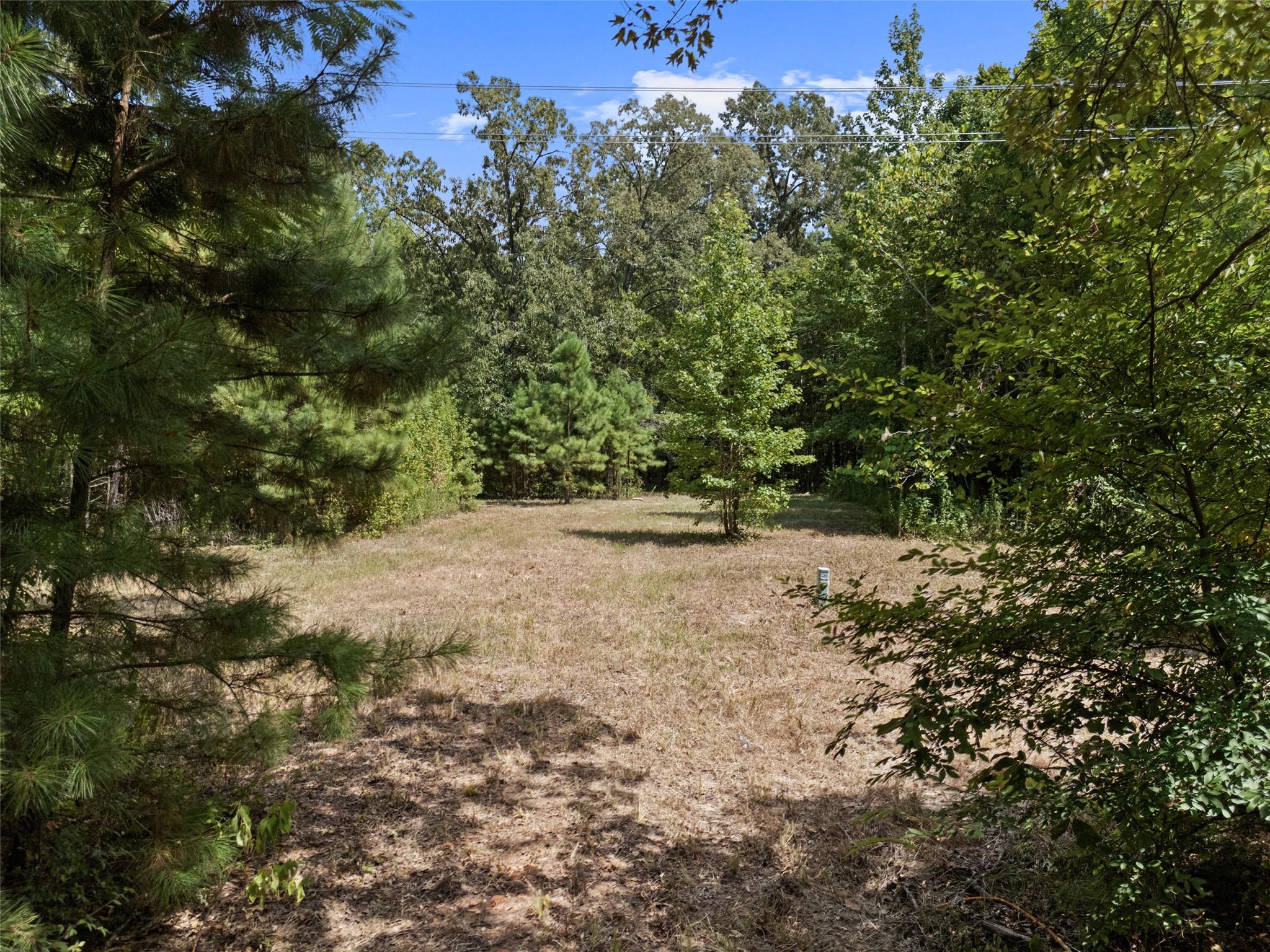 main property photo 12