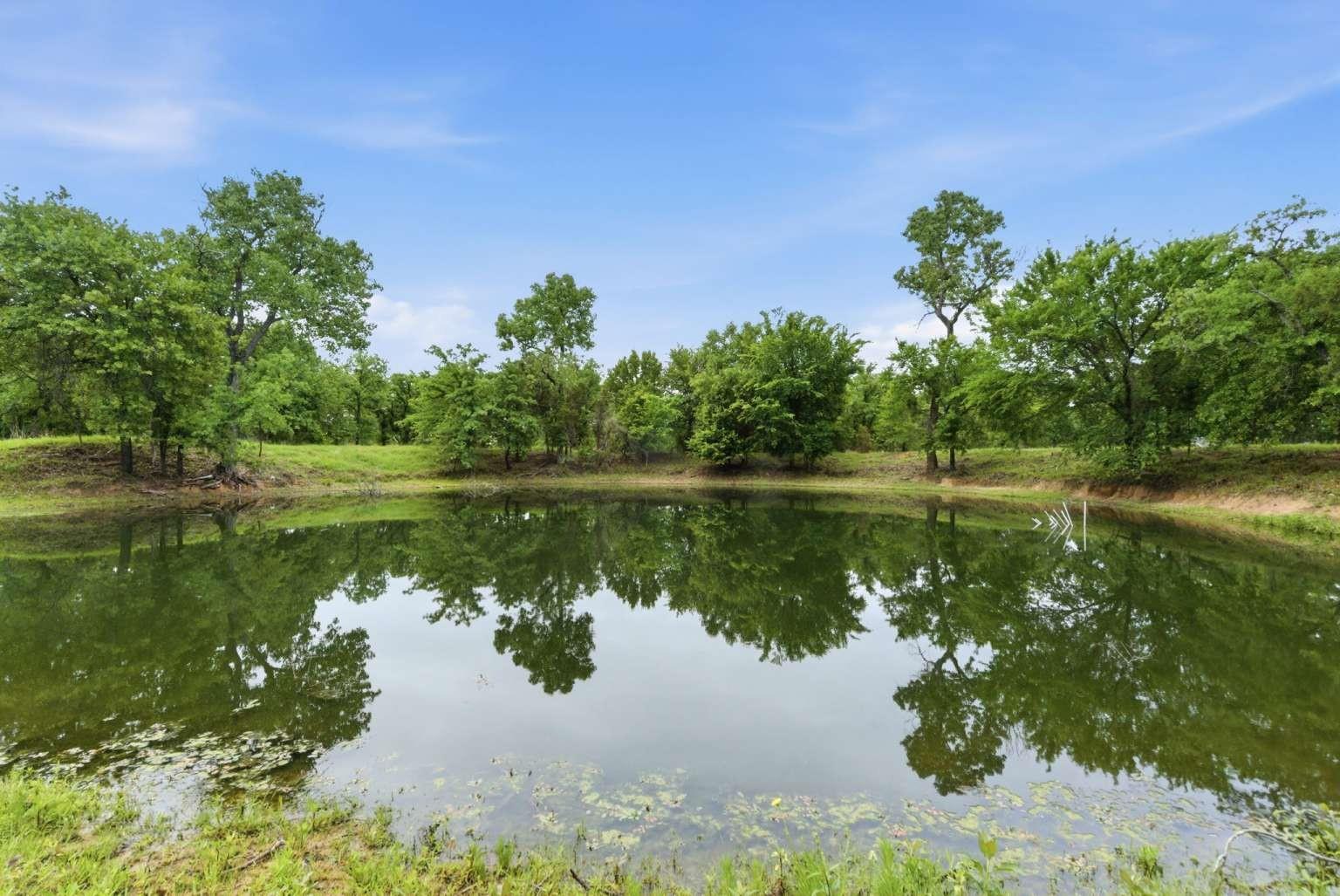 main property photo 35