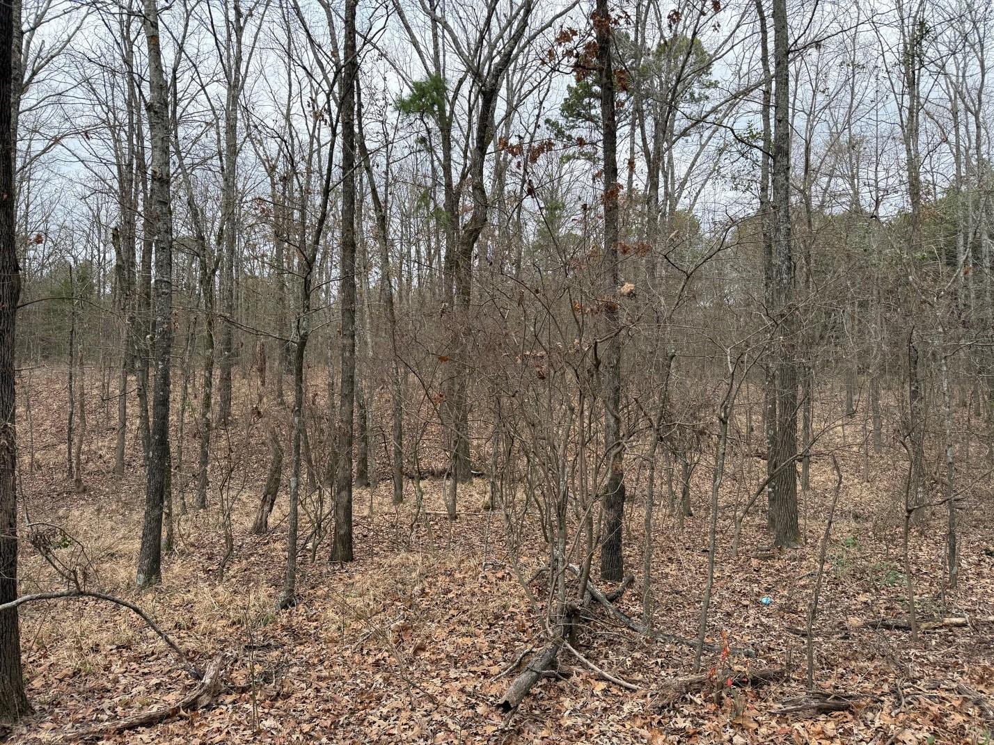 main property photo 12