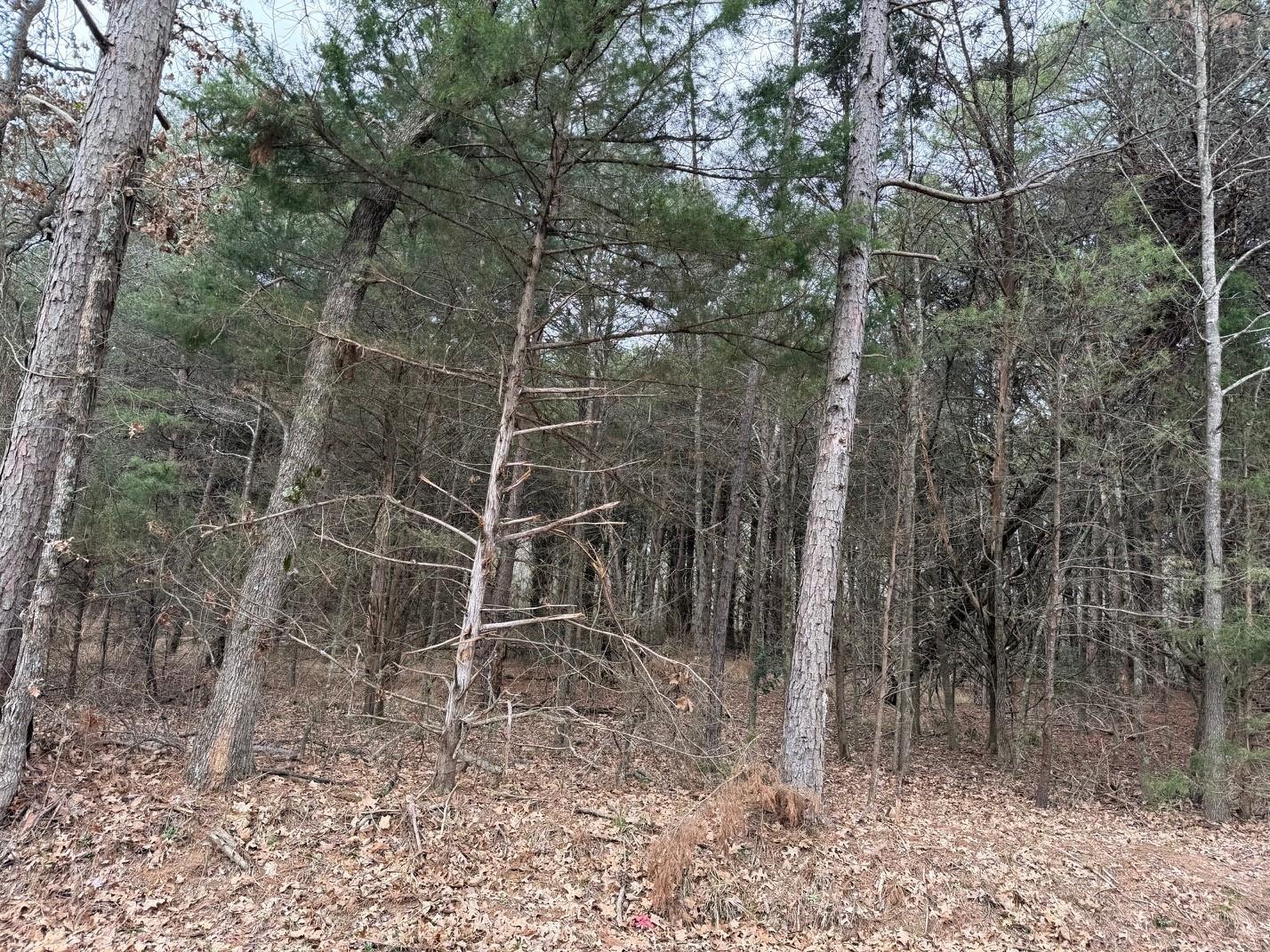 main property photo 19