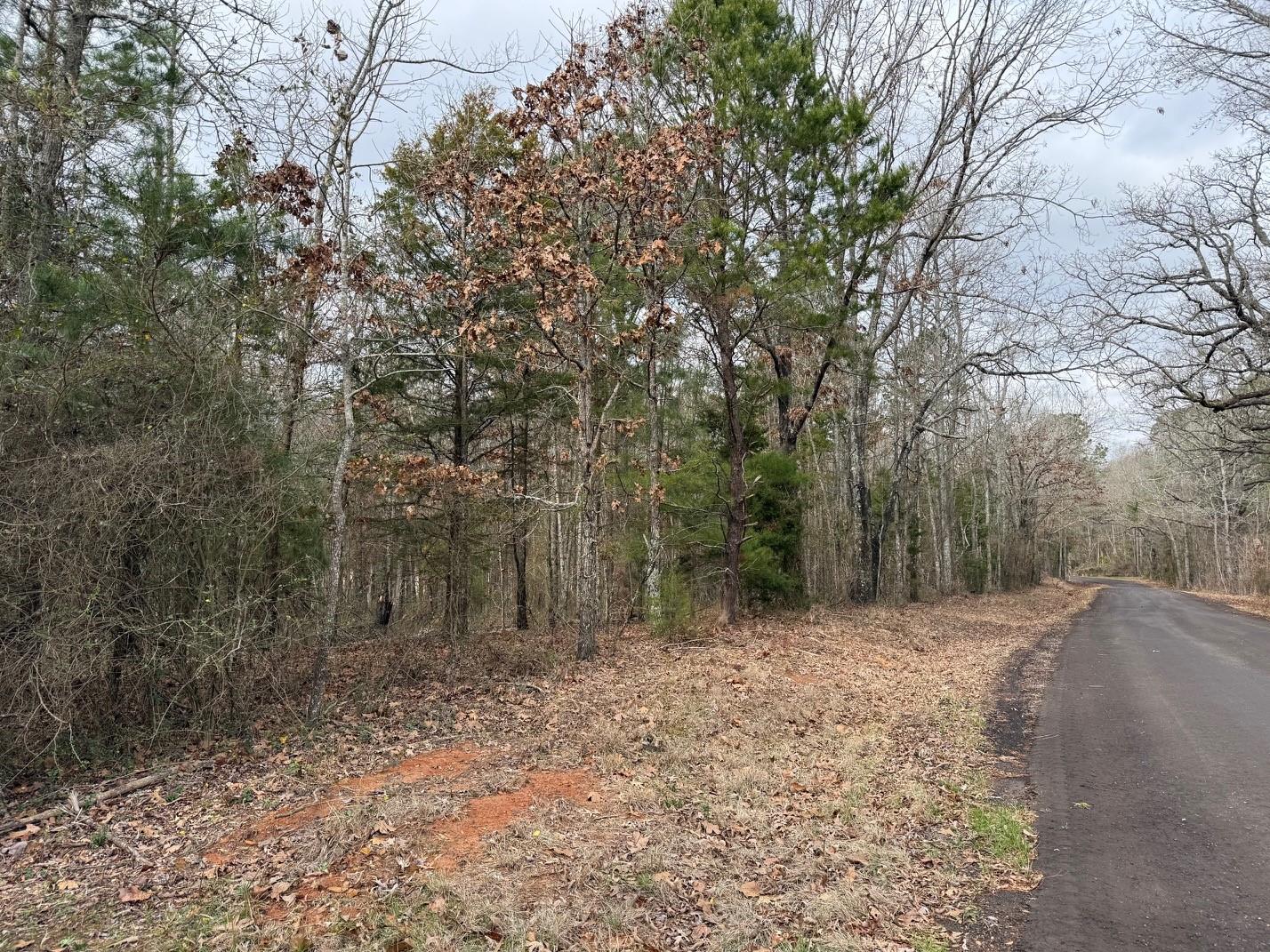 main property photo 20