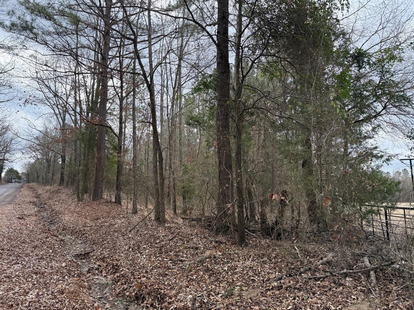 main property photo 21