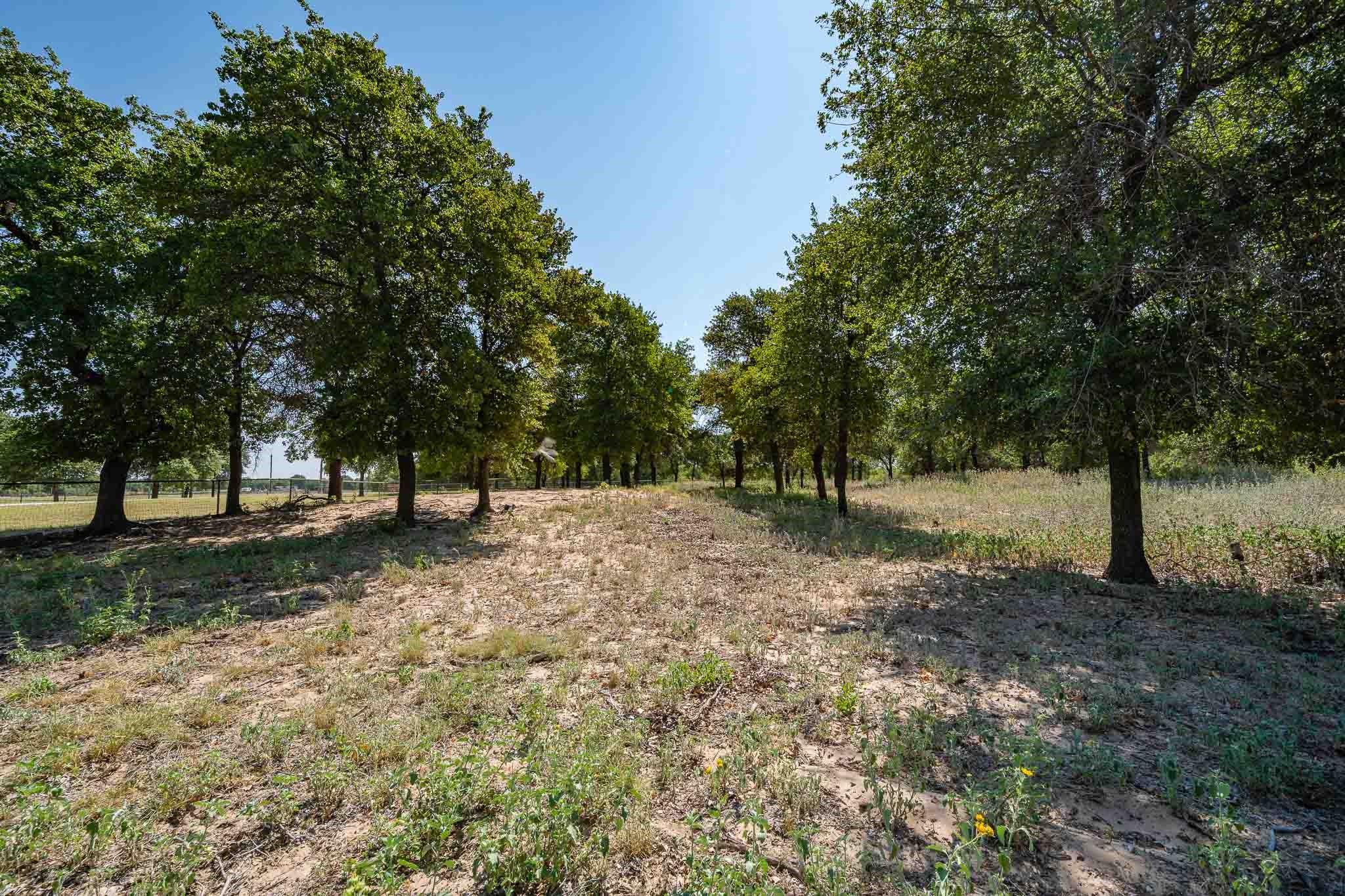 main property photo 21