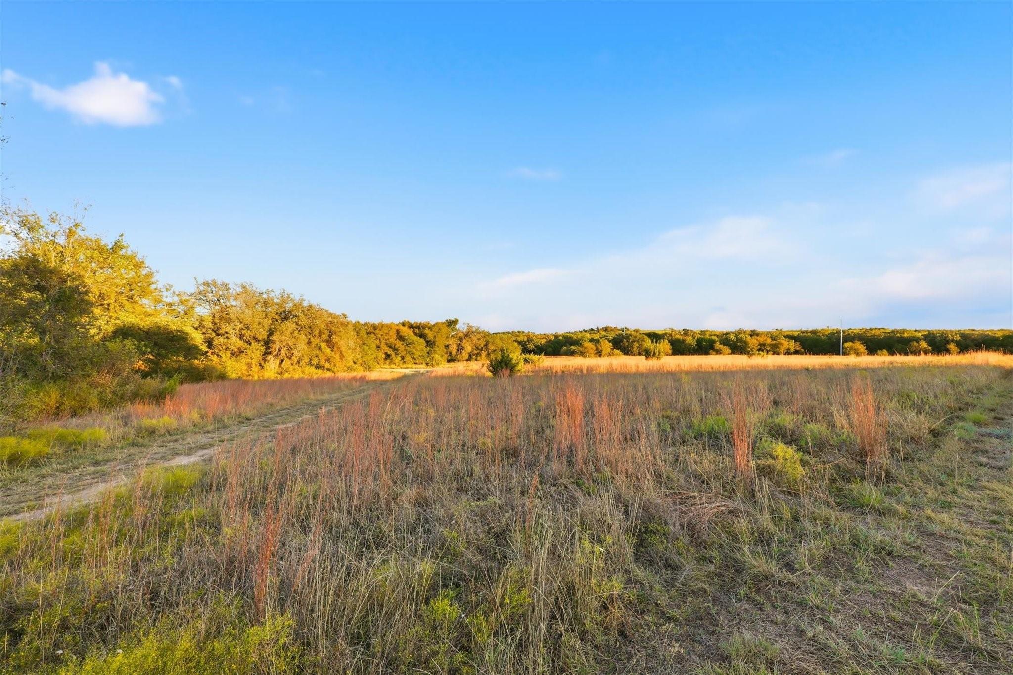 main property photo 25