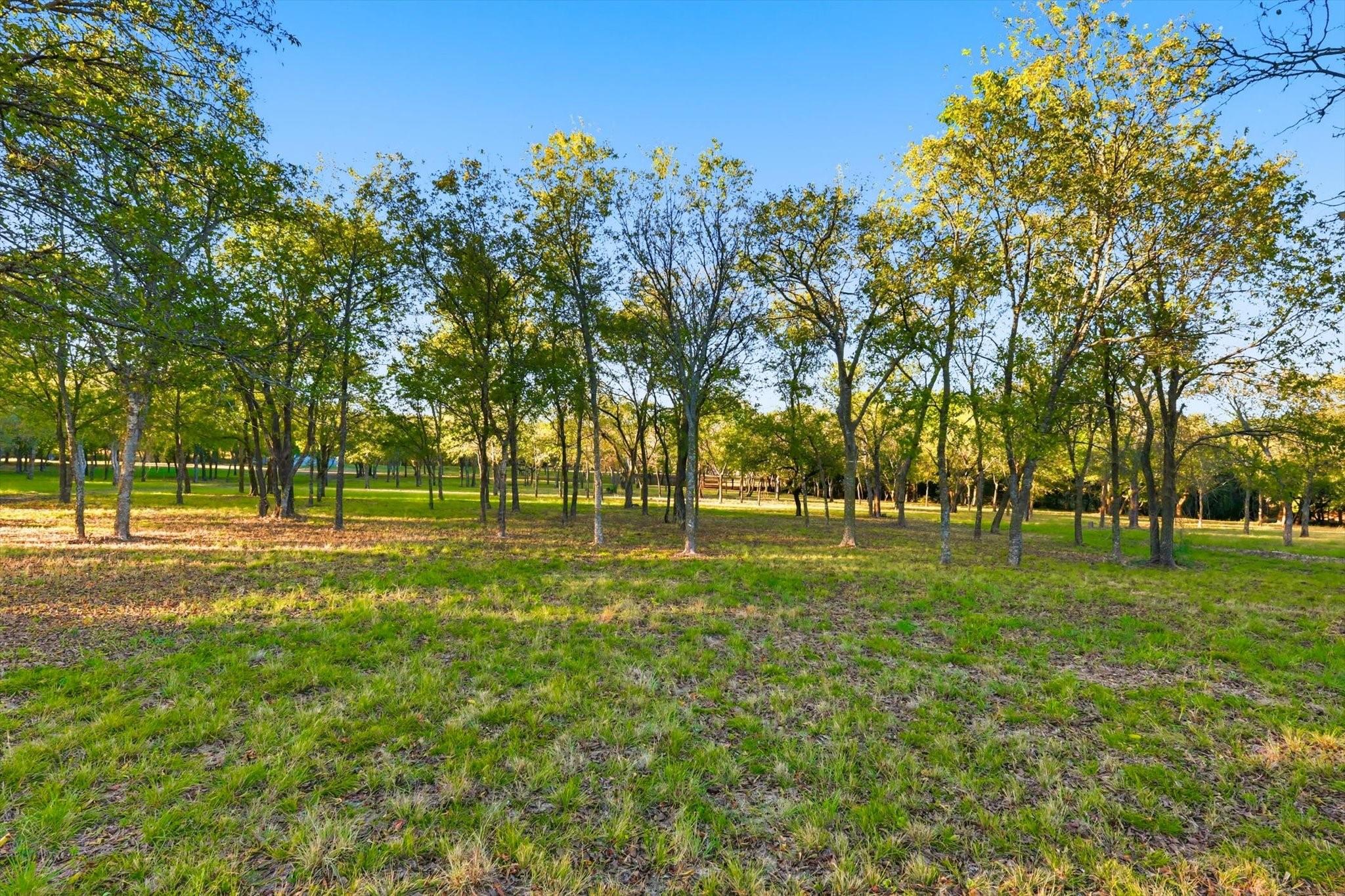 main property photo 9