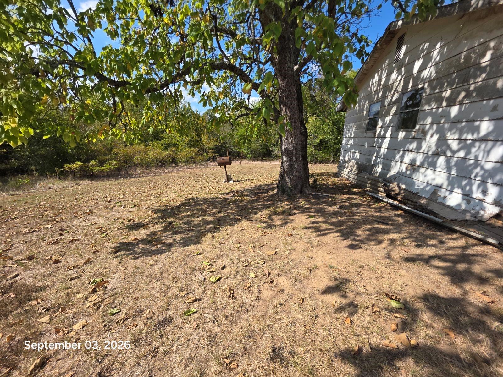 main property photo 6