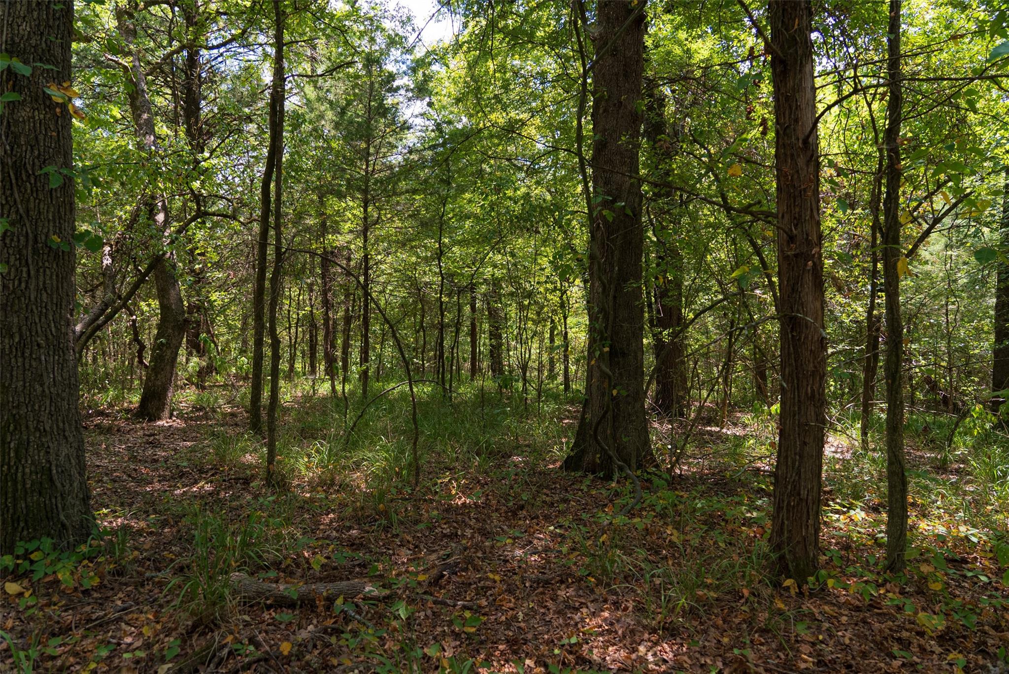 main property photo 33
