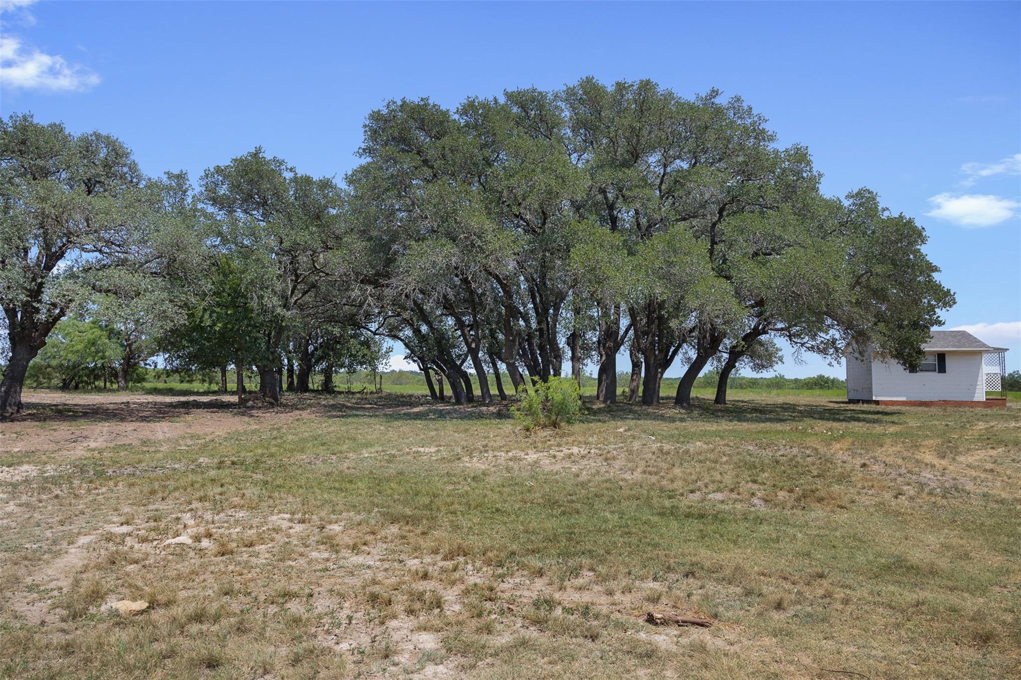 main property photo 39