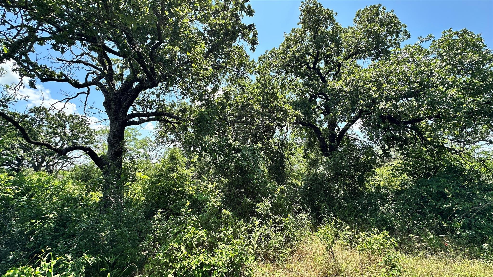 main property photo 10