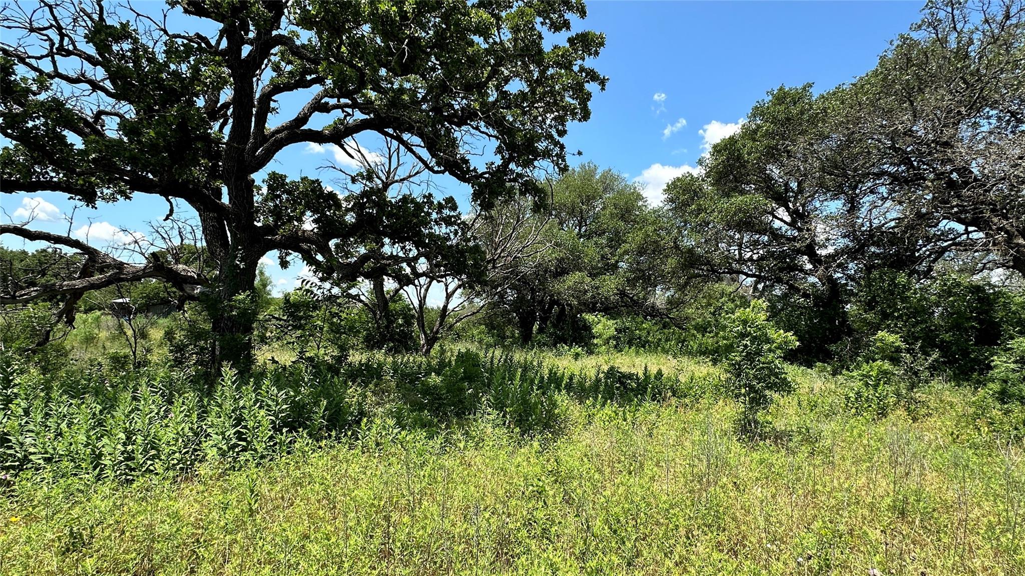 main property photo 18