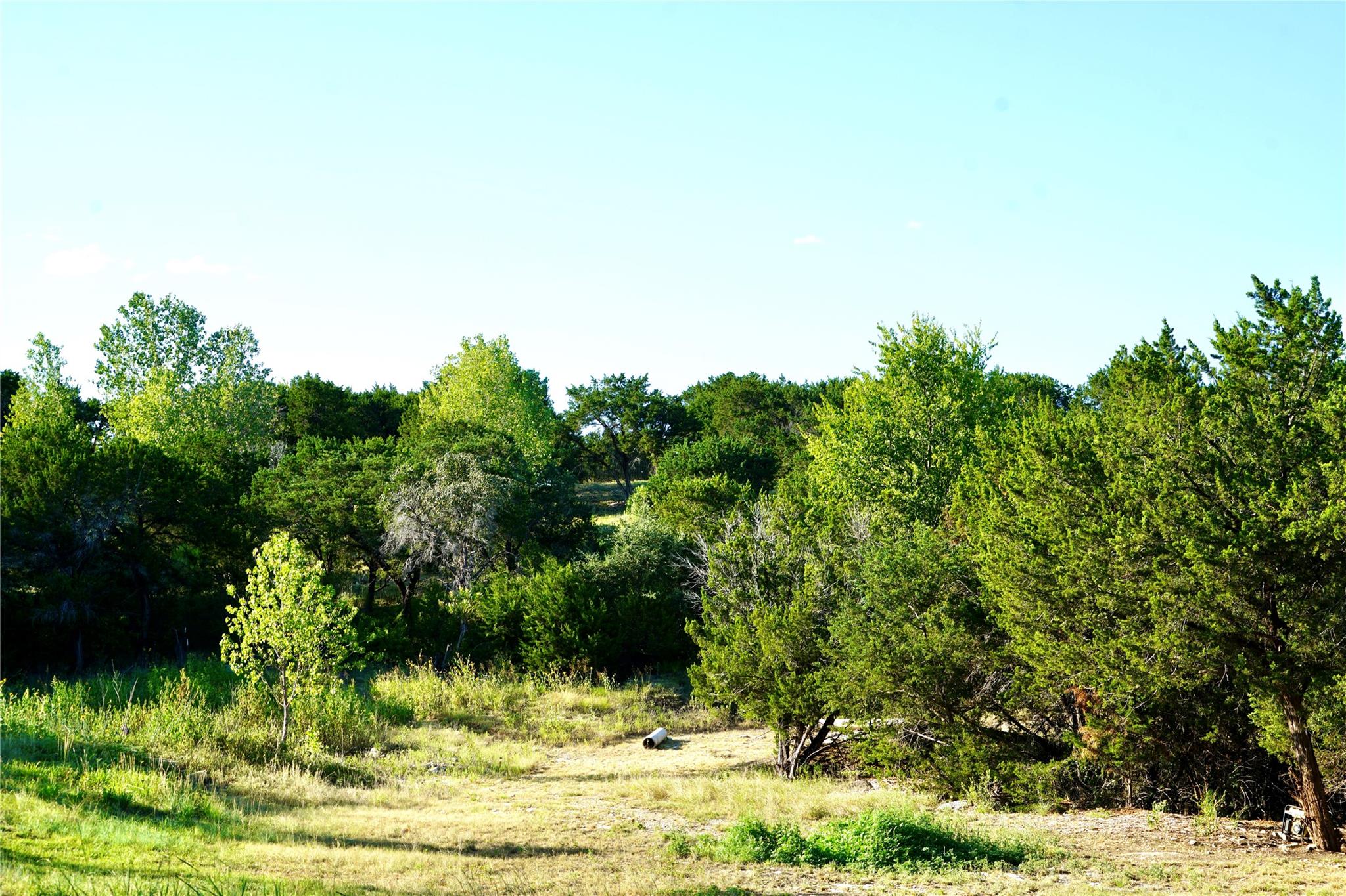 main property photo 17