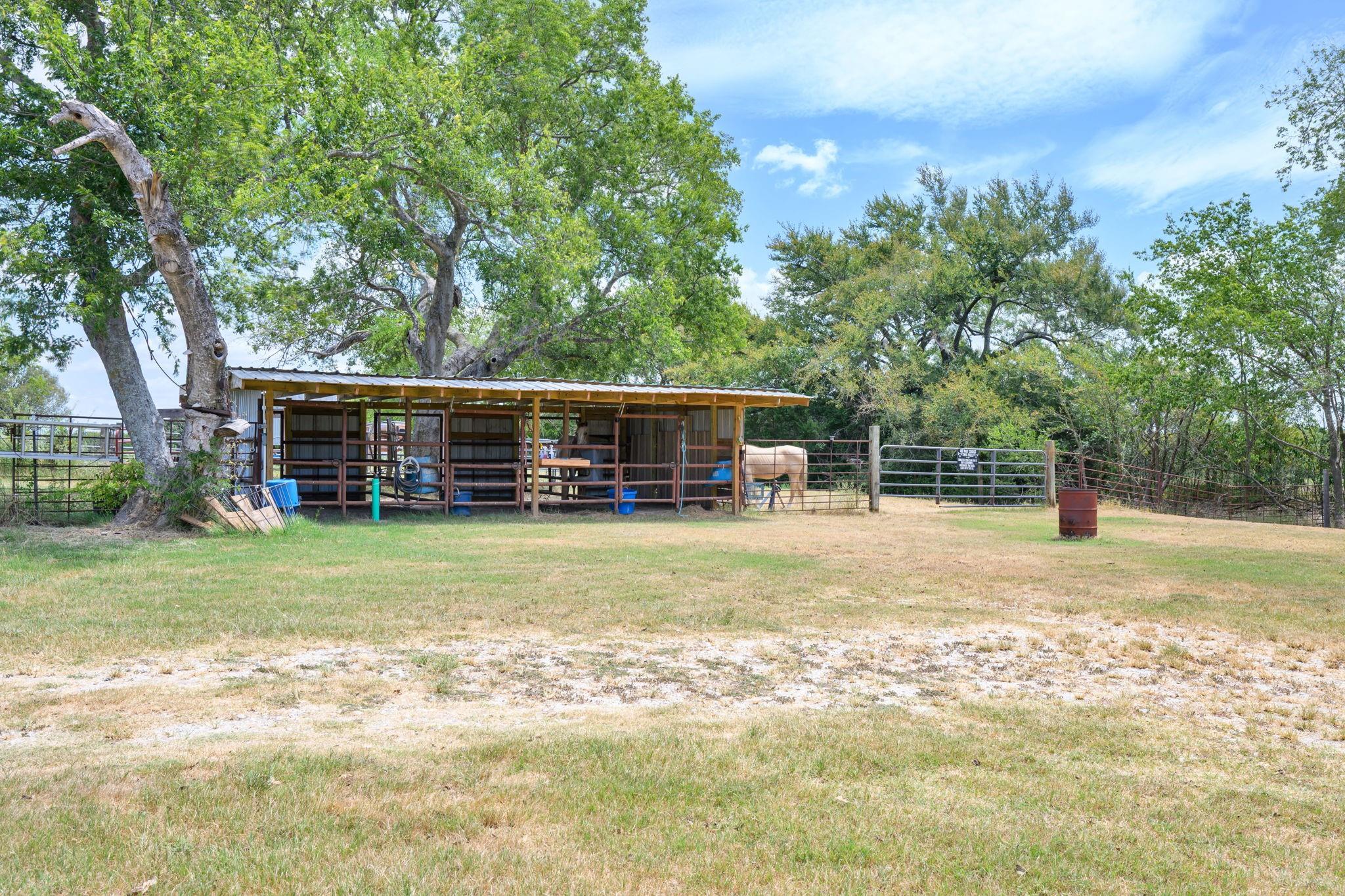 main property photo 15